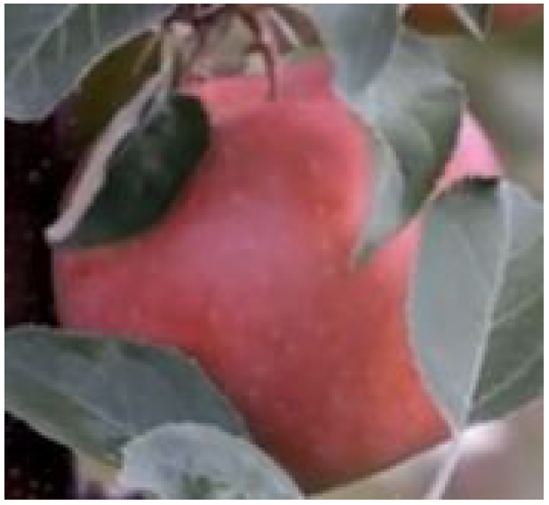 Sensors 21 06657 g006