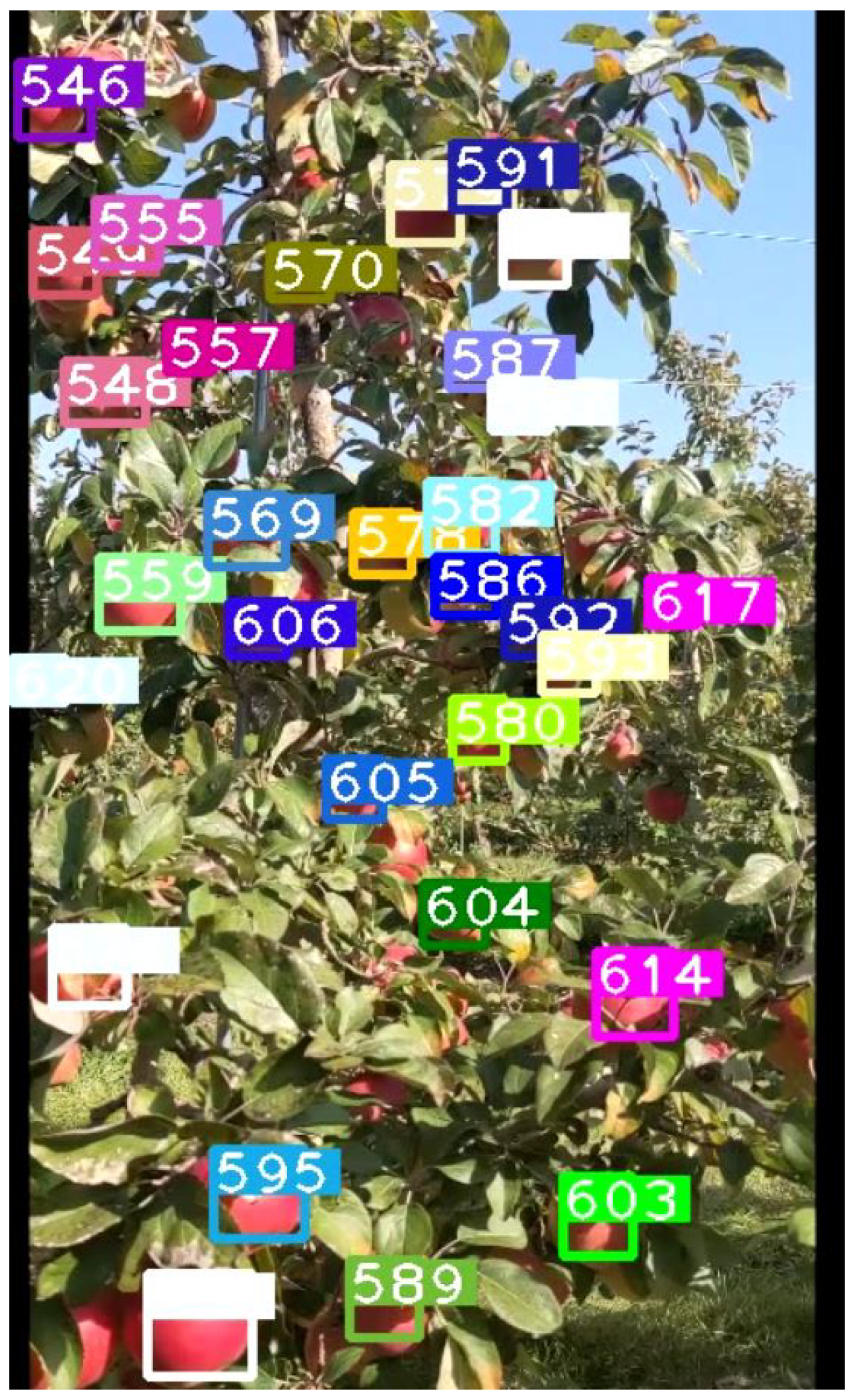 Sensors 21 06657 g009