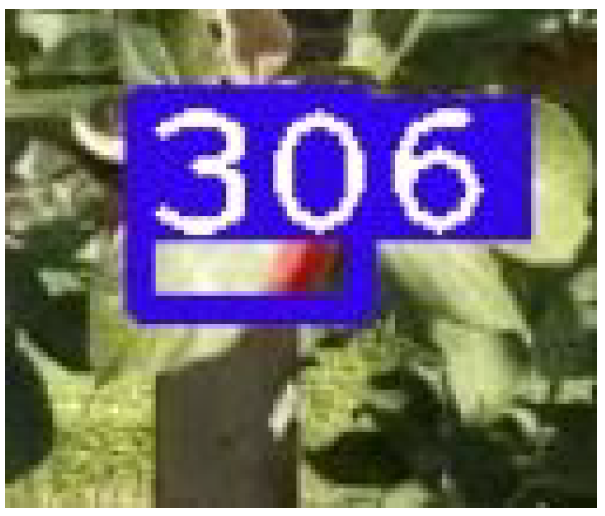 Sensors 21 06657 g011