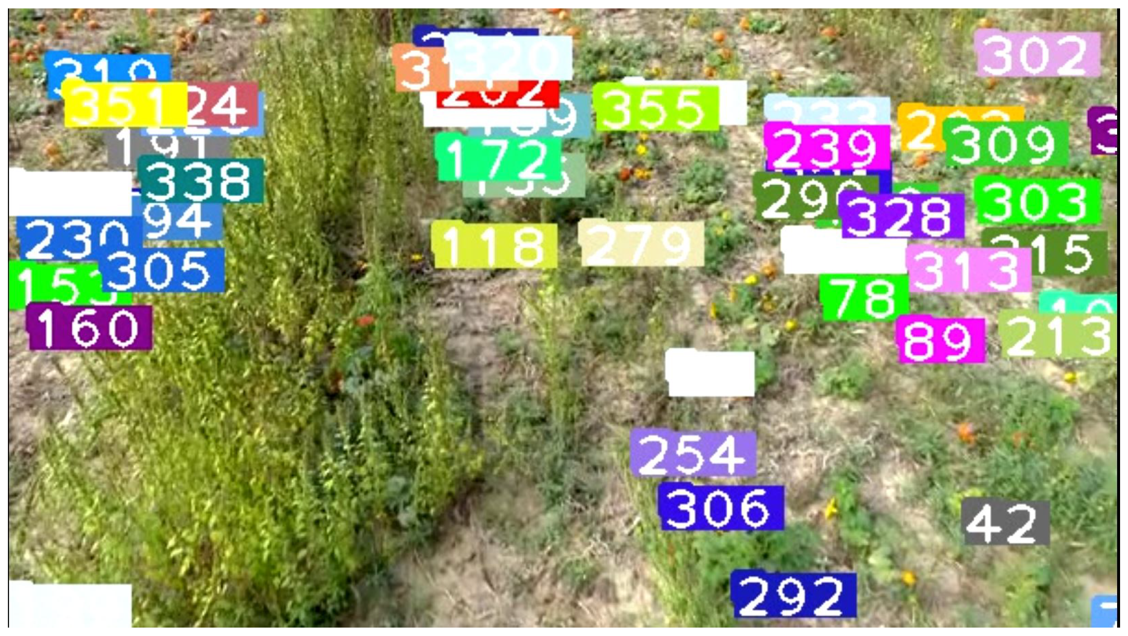 Sensors 21 06657 g012