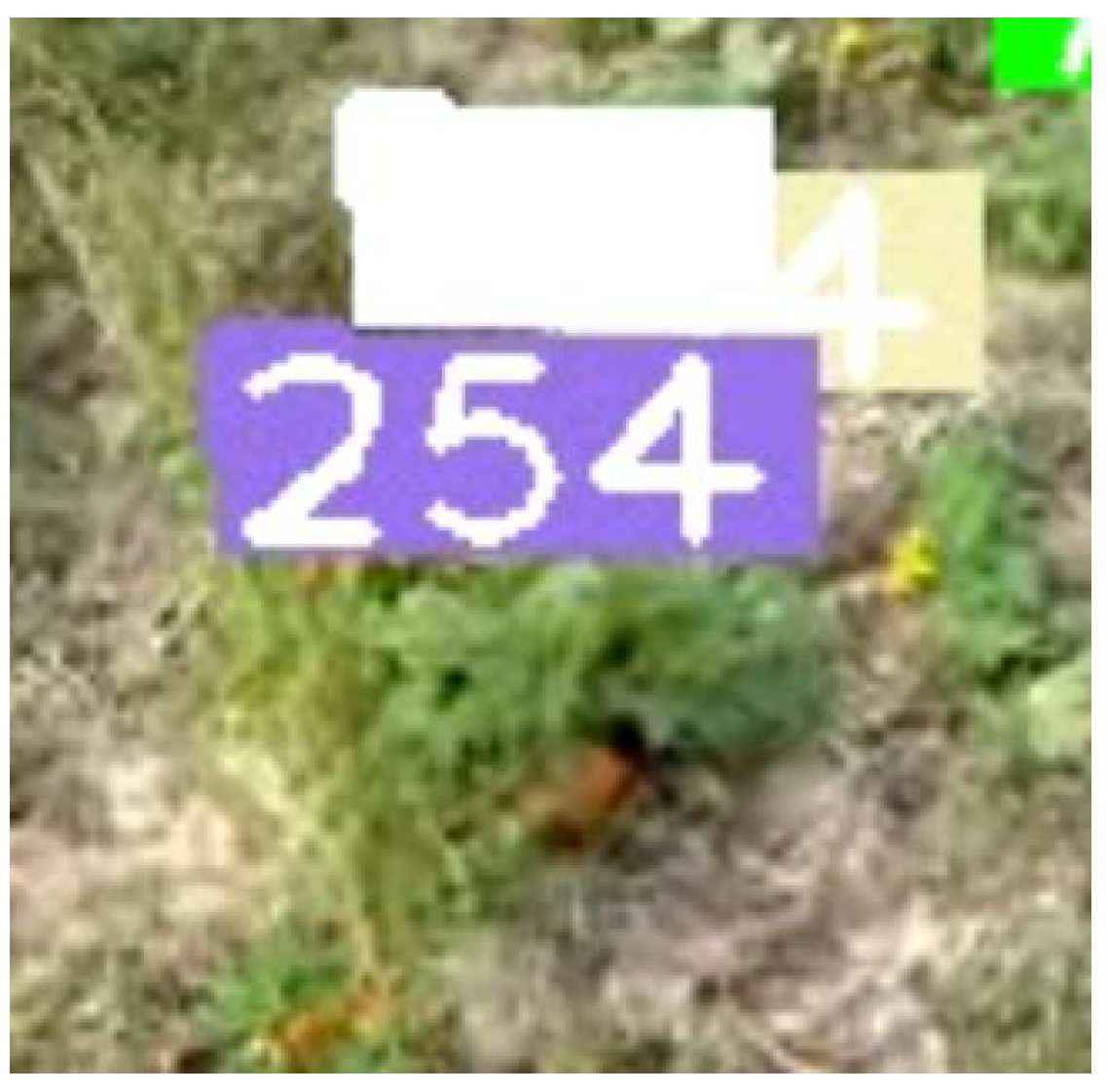 Sensors 21 06657 g013