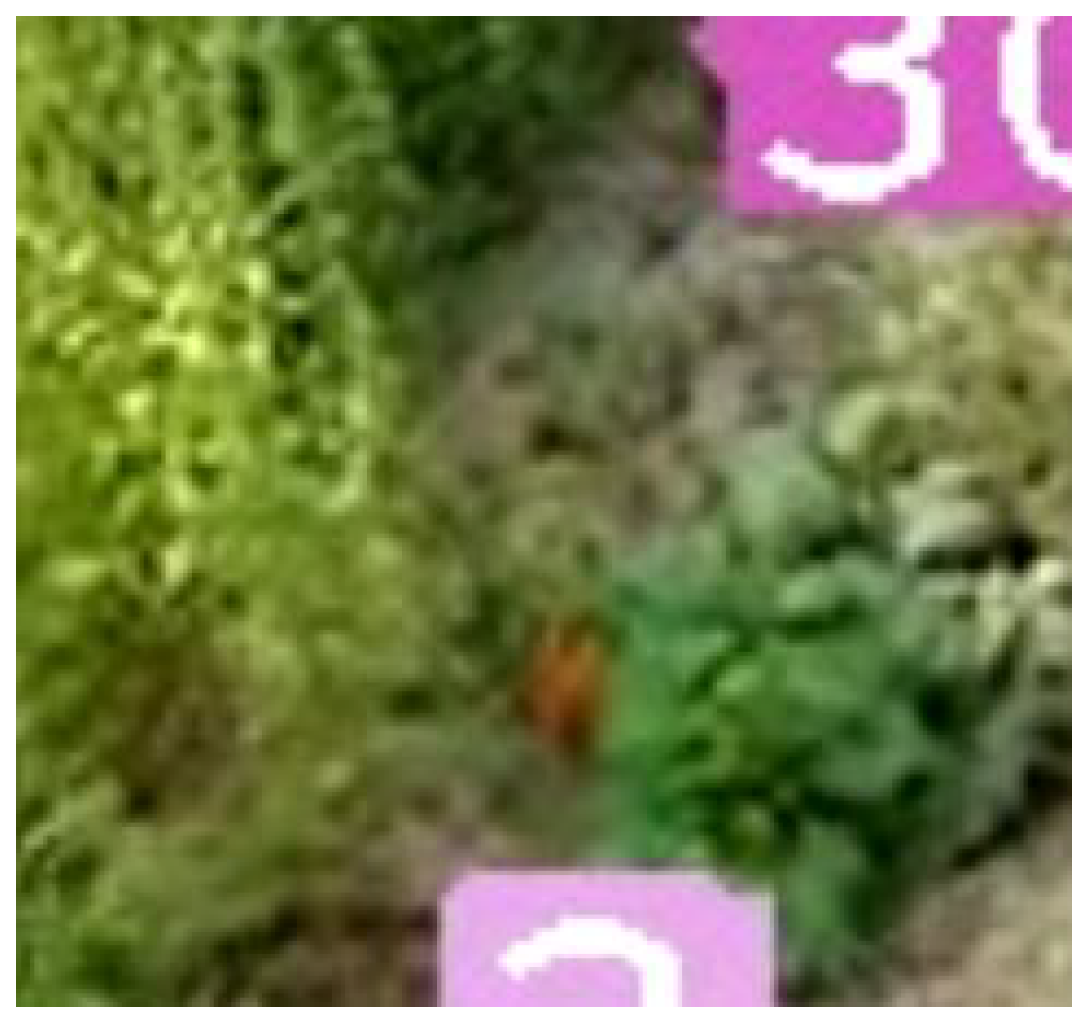 Sensors 21 06657 g015