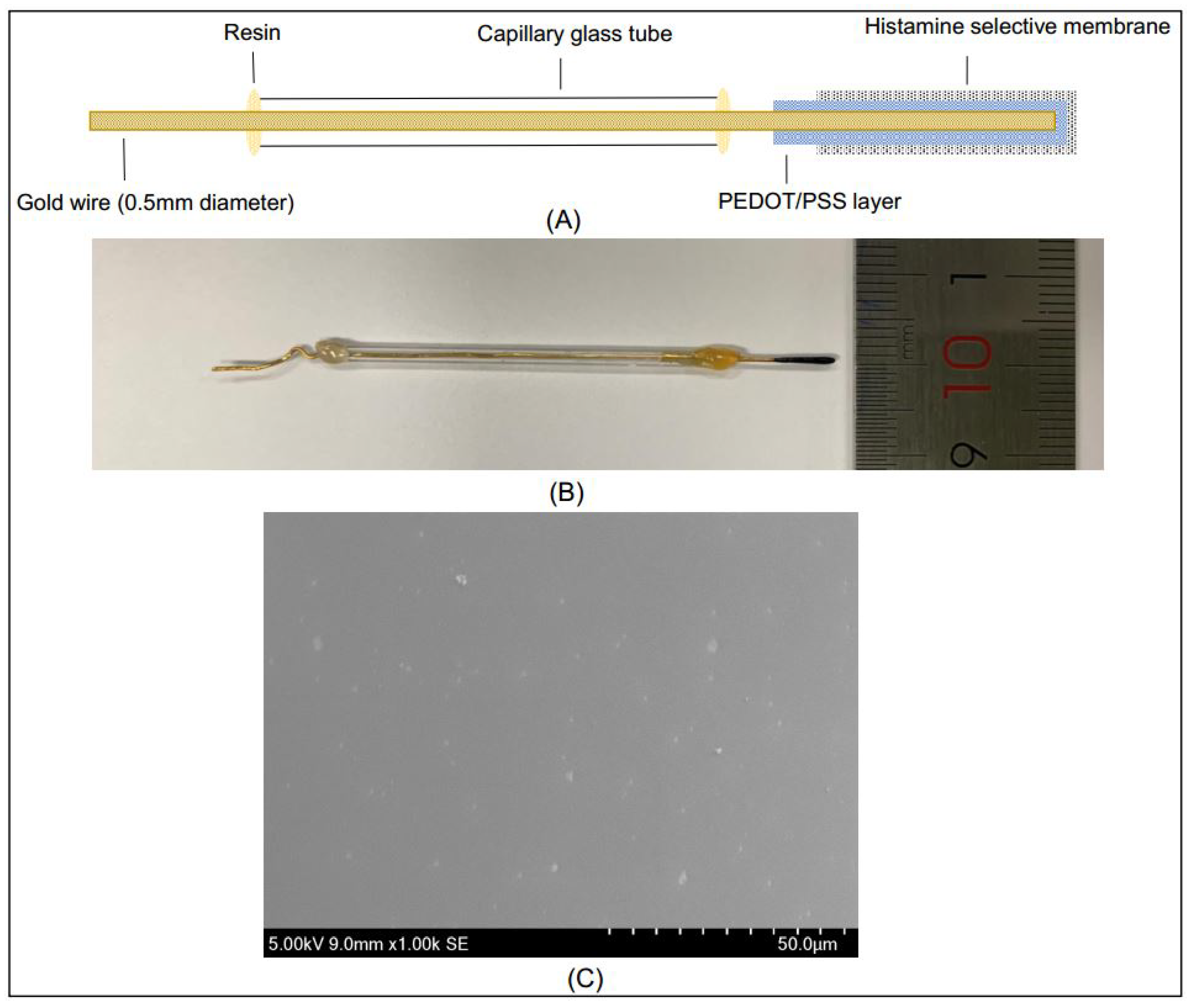 Sensors 21 06658 g001