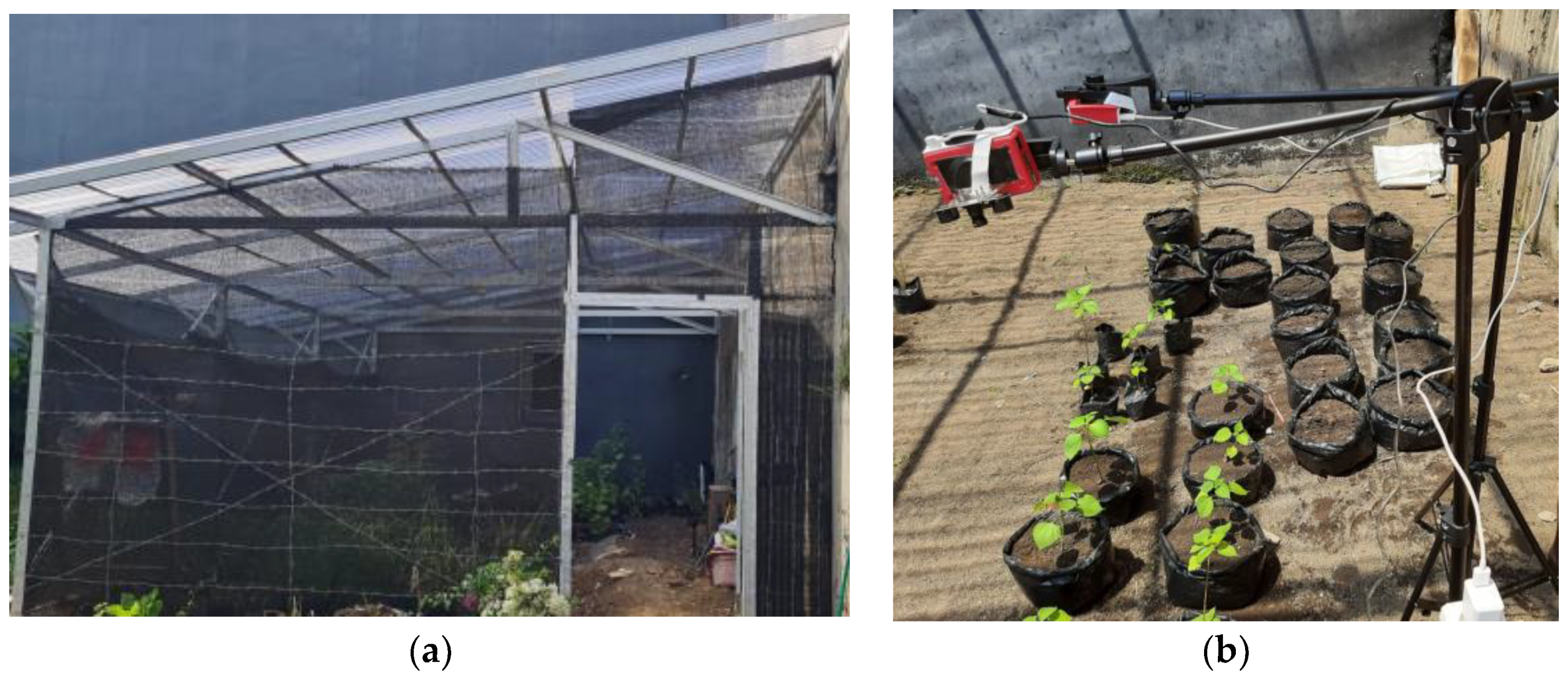 Sensors 21 06659 g001