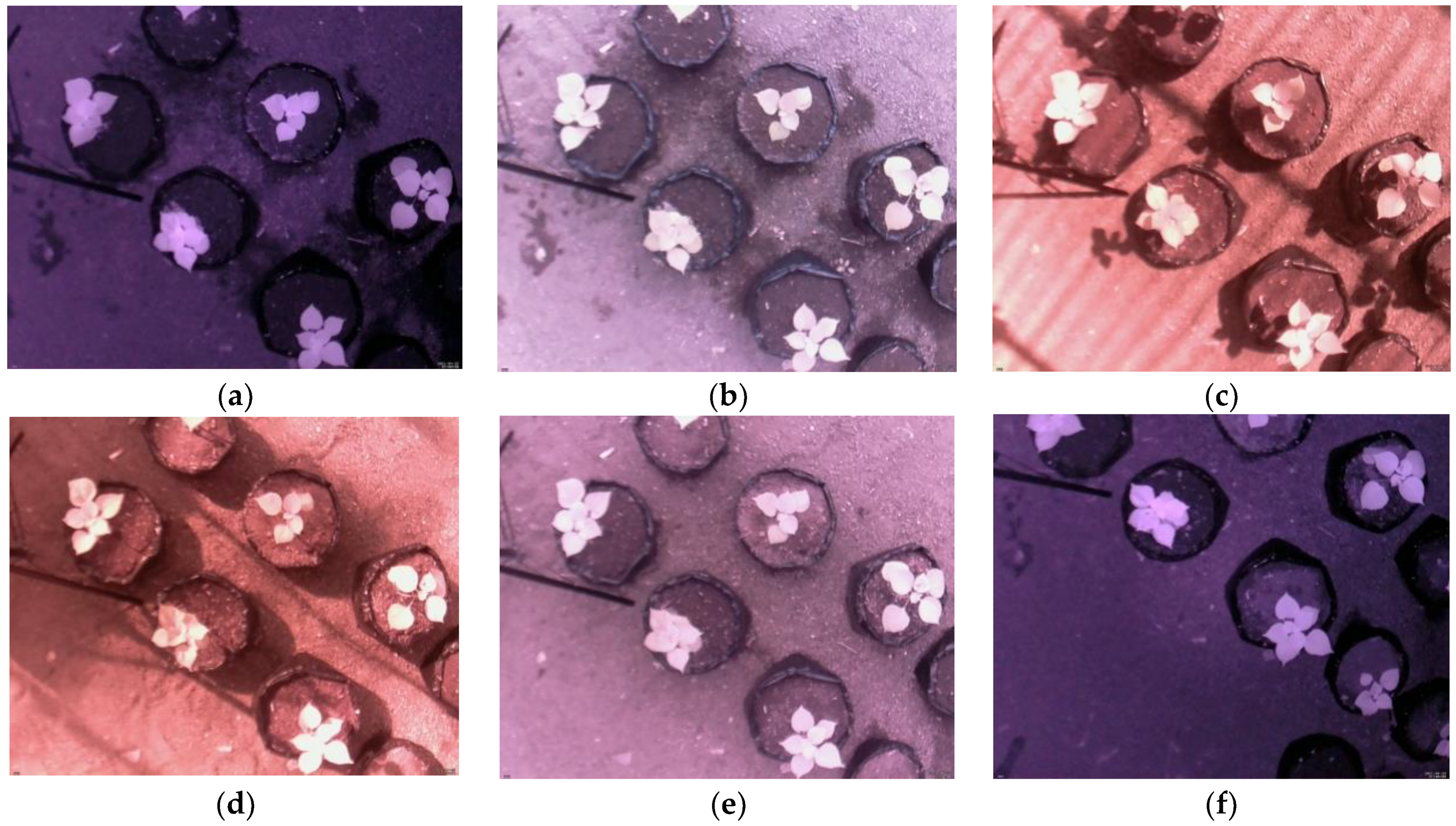 Sensors 21 06659 g003
