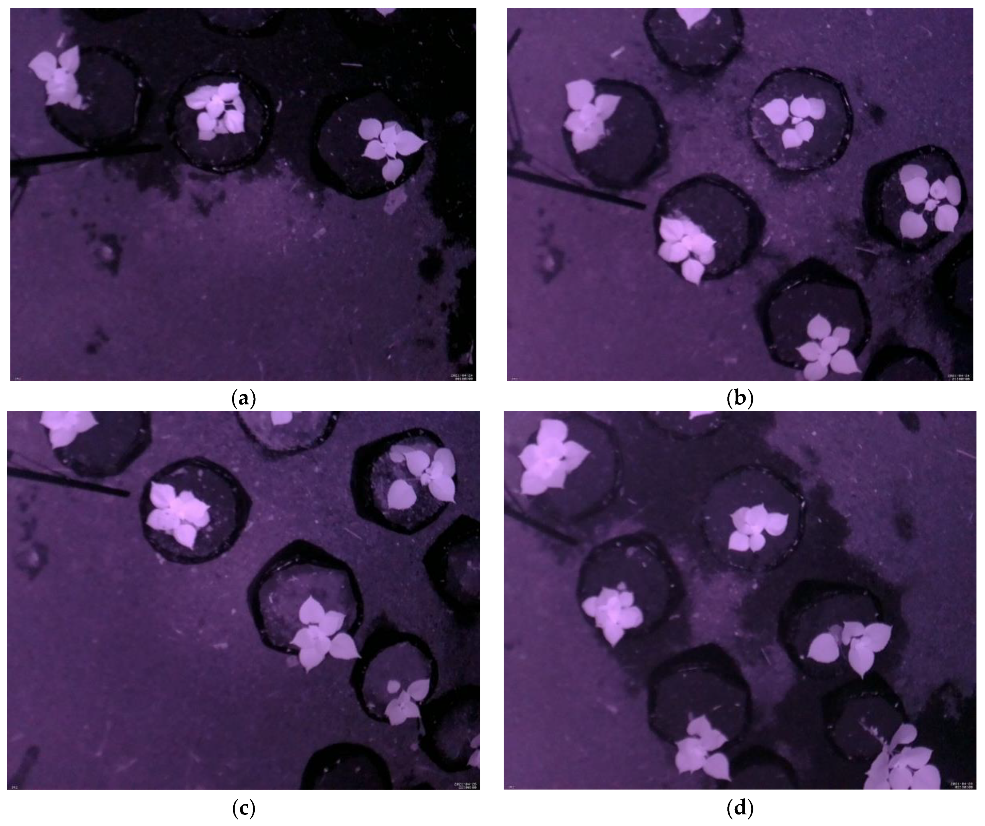 Sensors 21 06659 g007