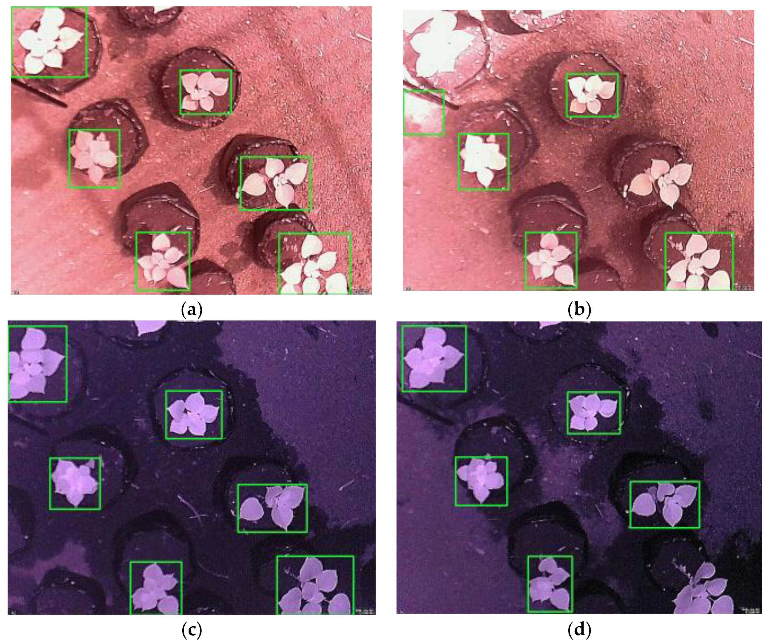 Sensors 21 06659 g008