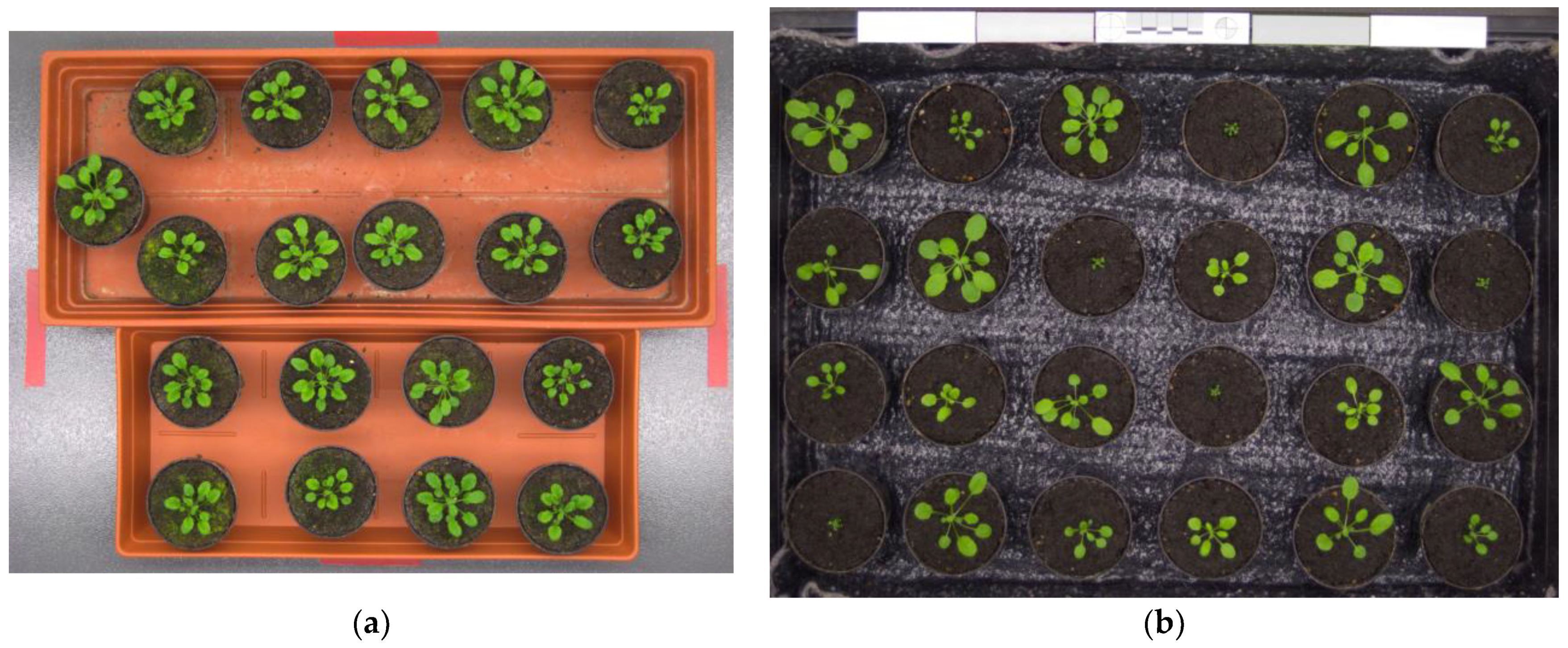 Sensors 21 06659 g014