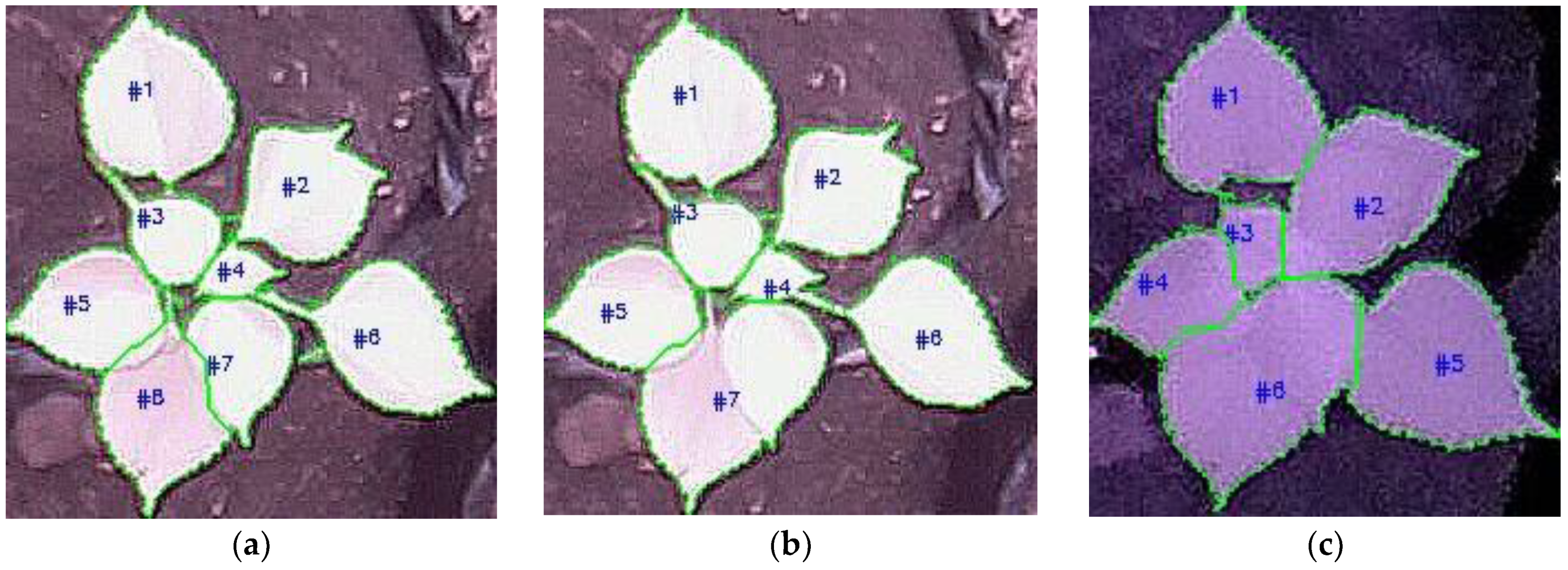 Sensors 21 06659 g019a