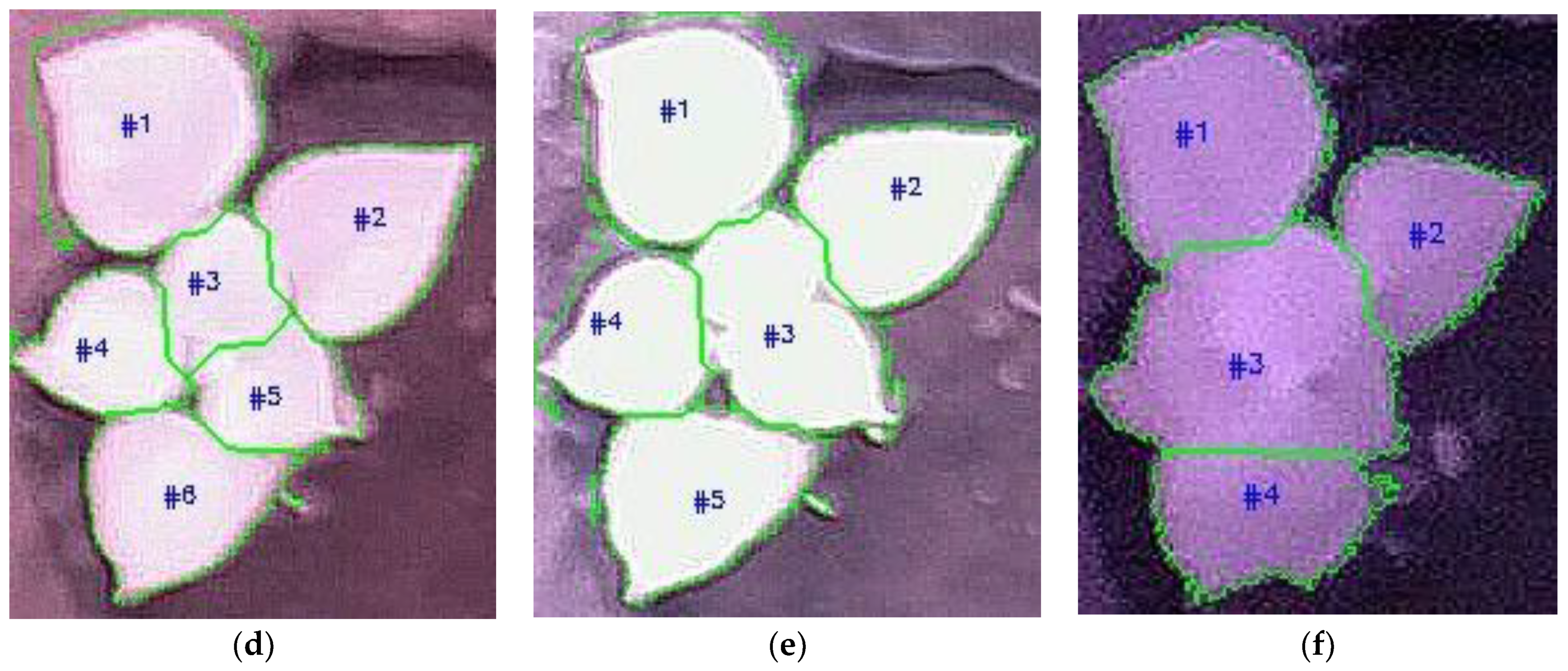 Sensors 21 06659 g019b