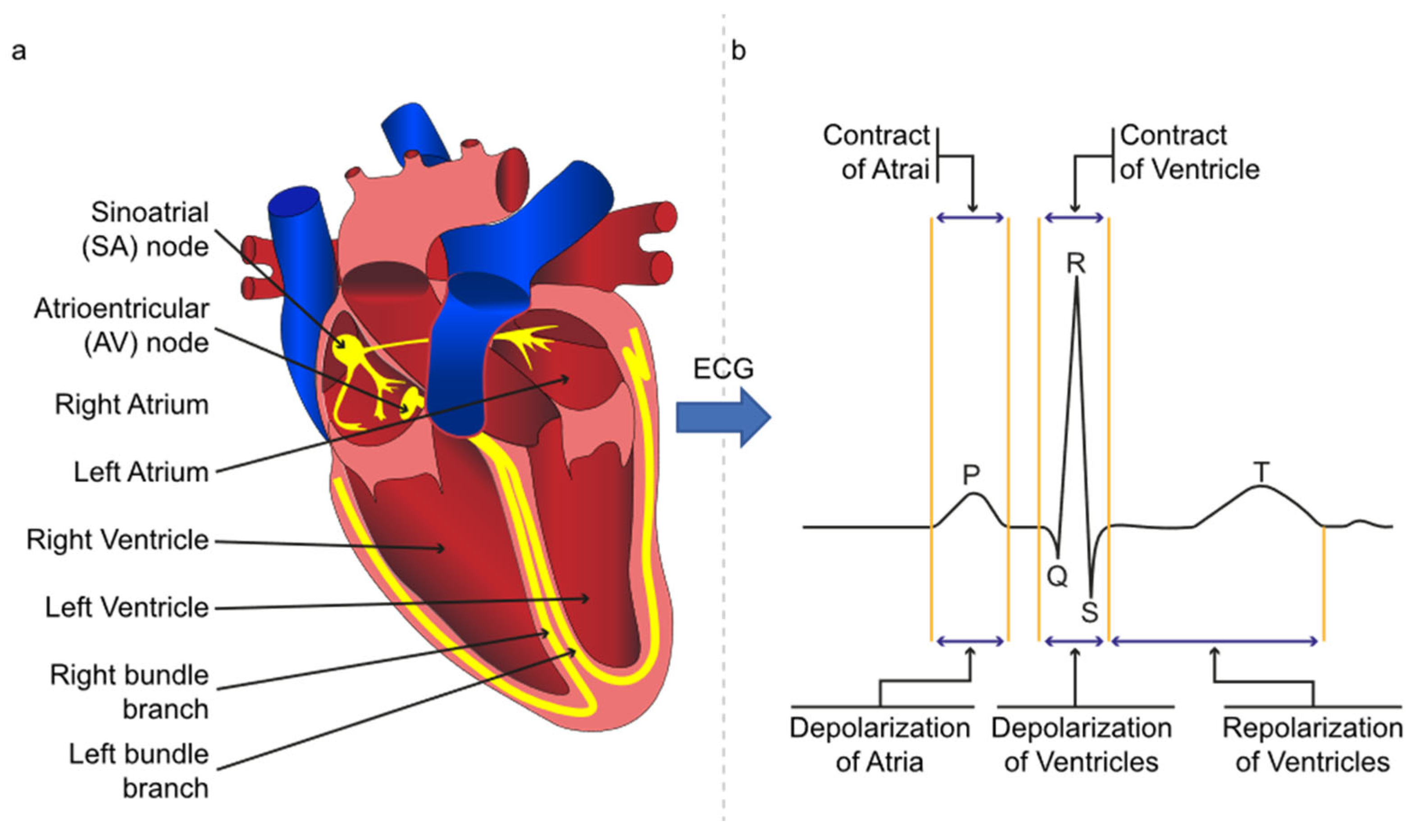 Sensors 21 06682 g001