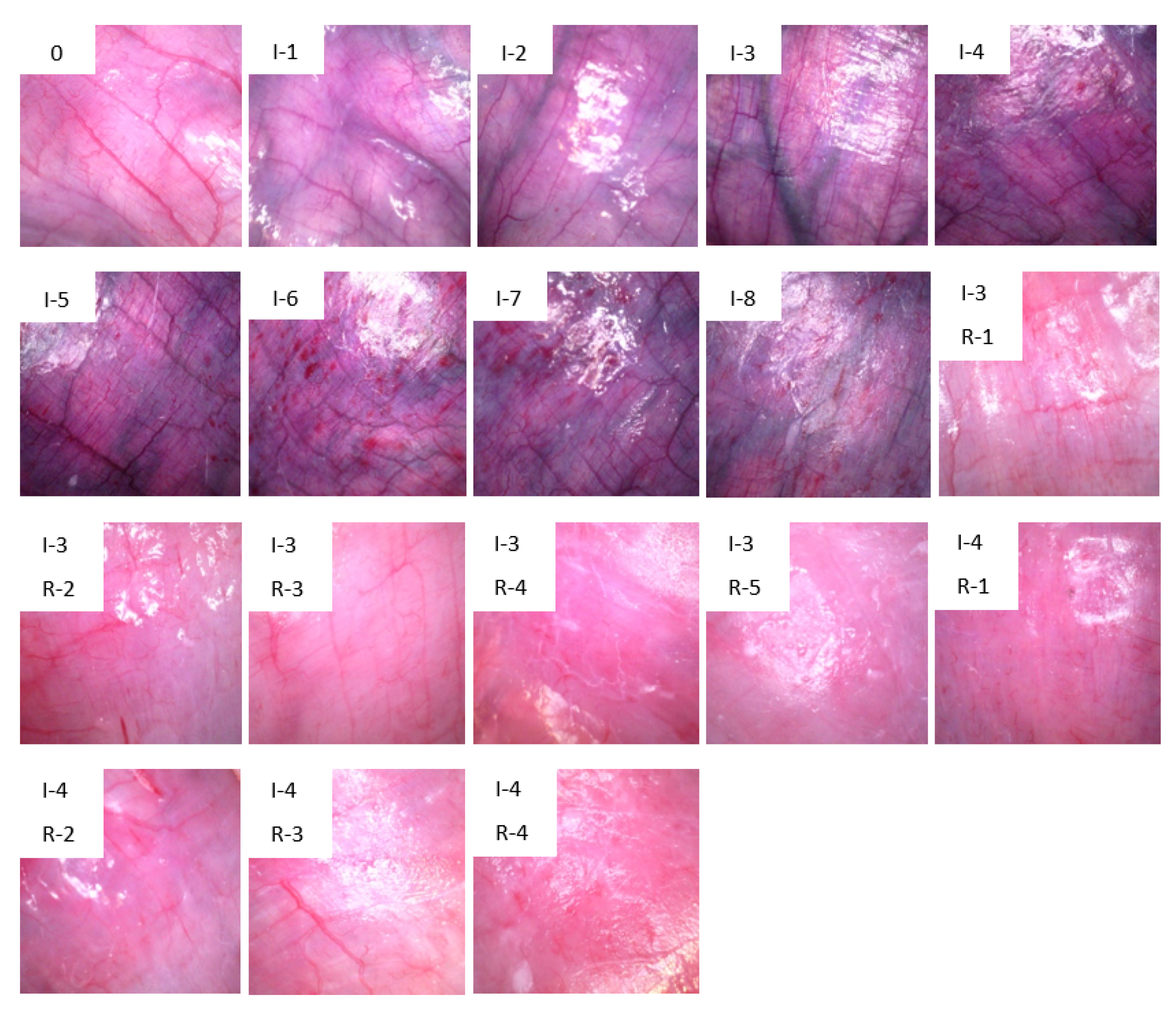 Sensors 21 06691 g001