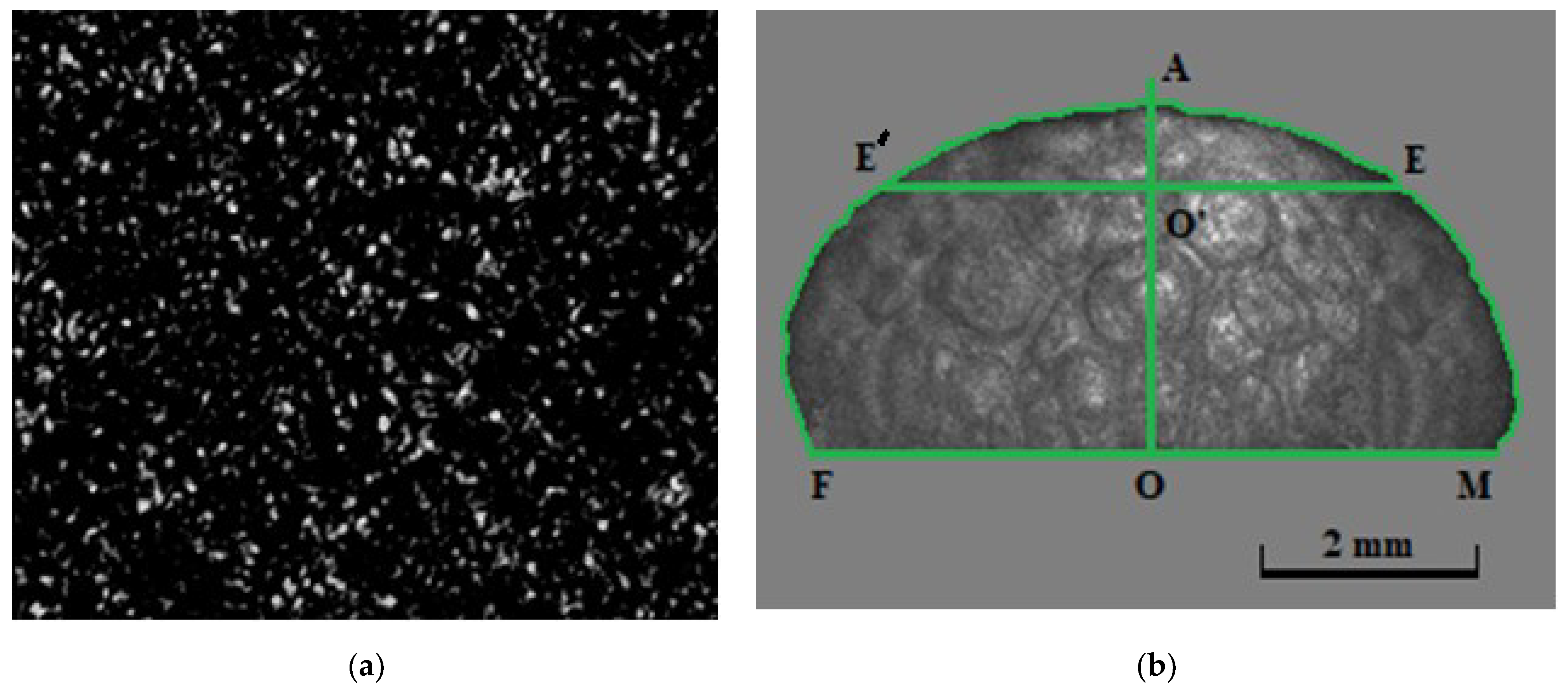 Sensors 21 06701 g002