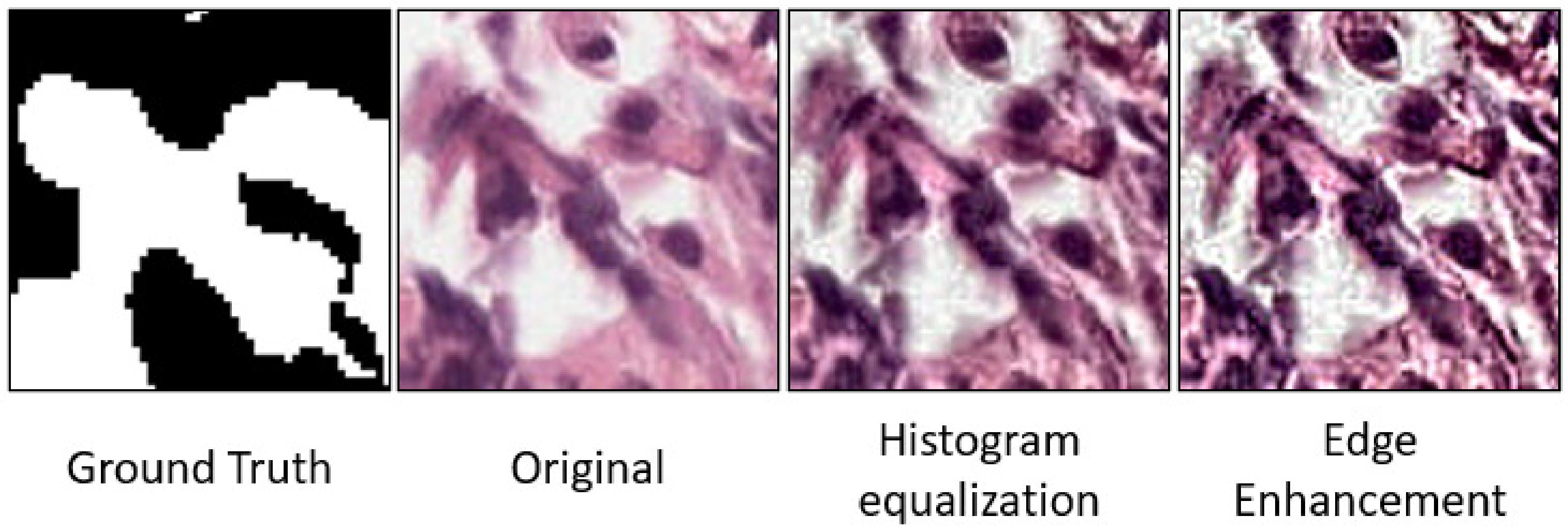 Sensors 21 06708 g004