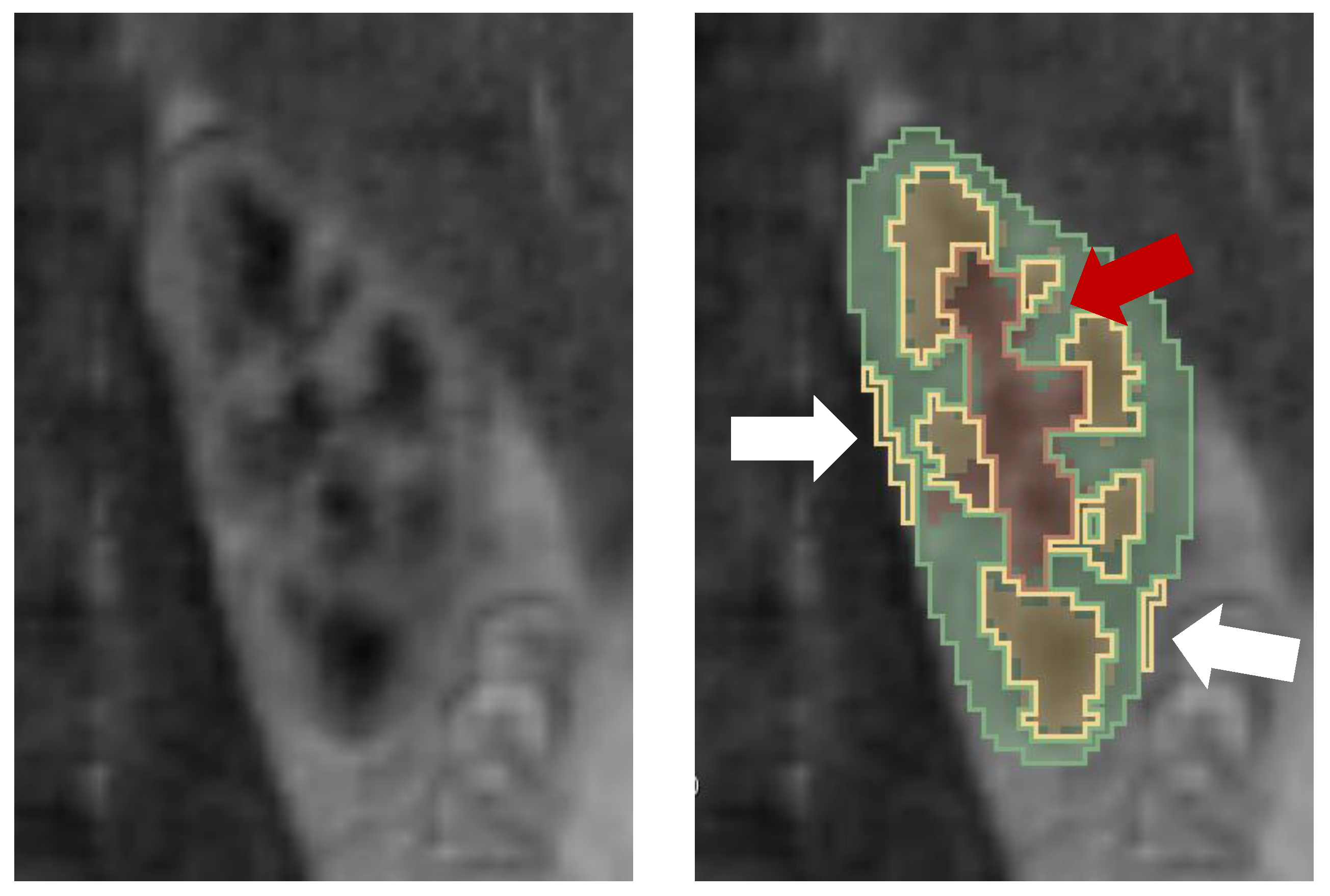 Sensors 21 06714 g010