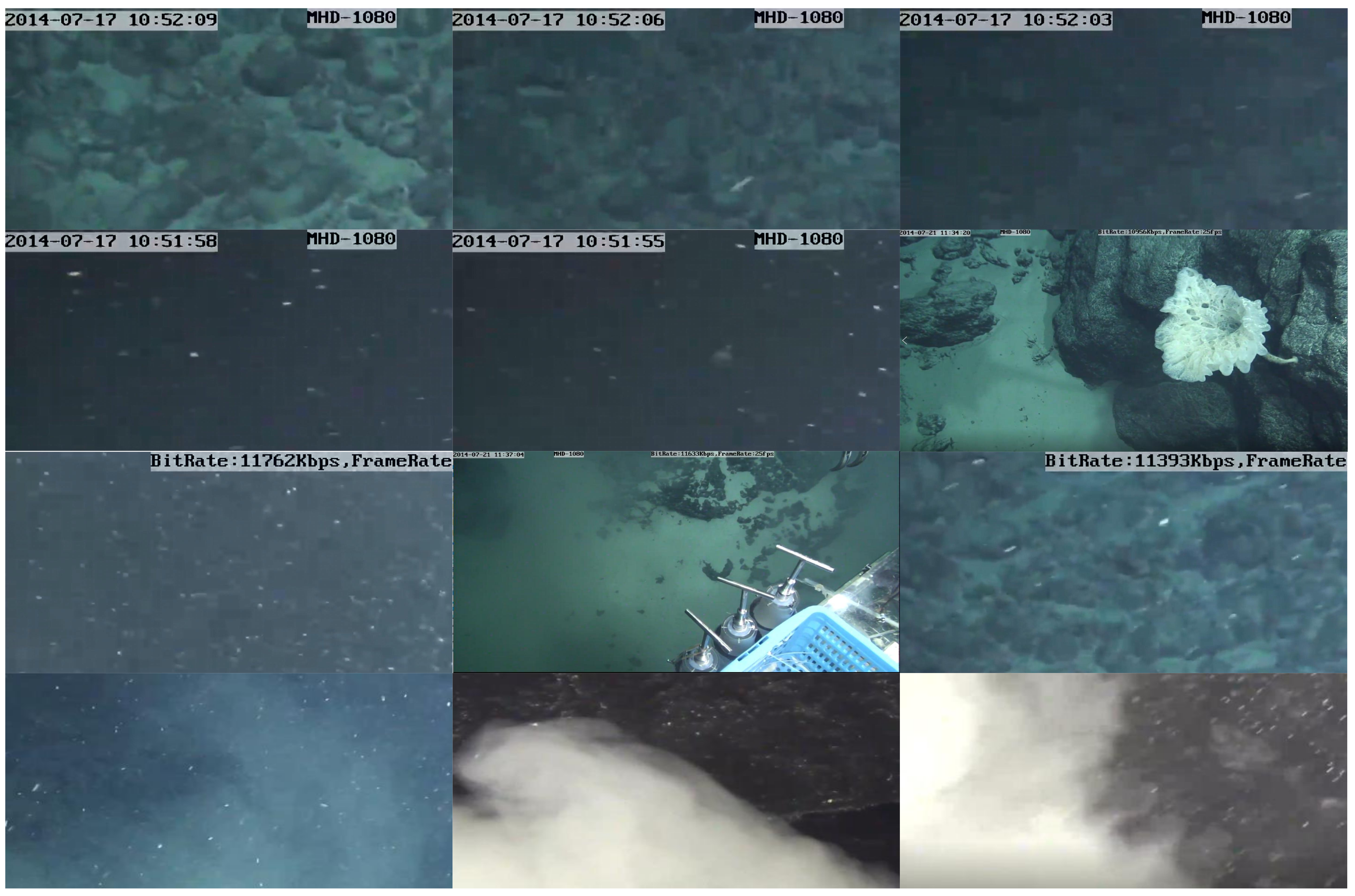 Sensors 21 06720 g005