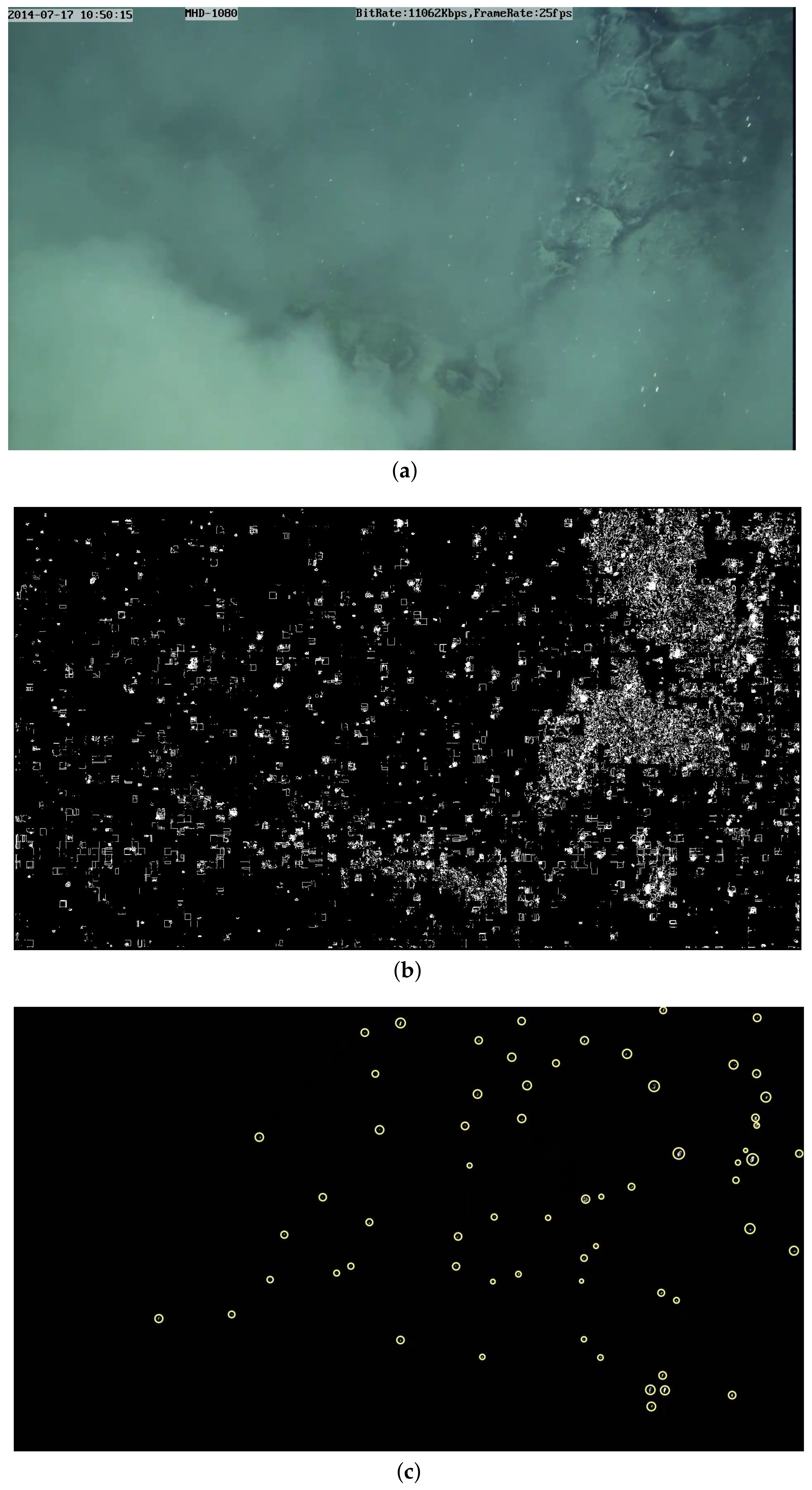 Sensors 21 06720 g008