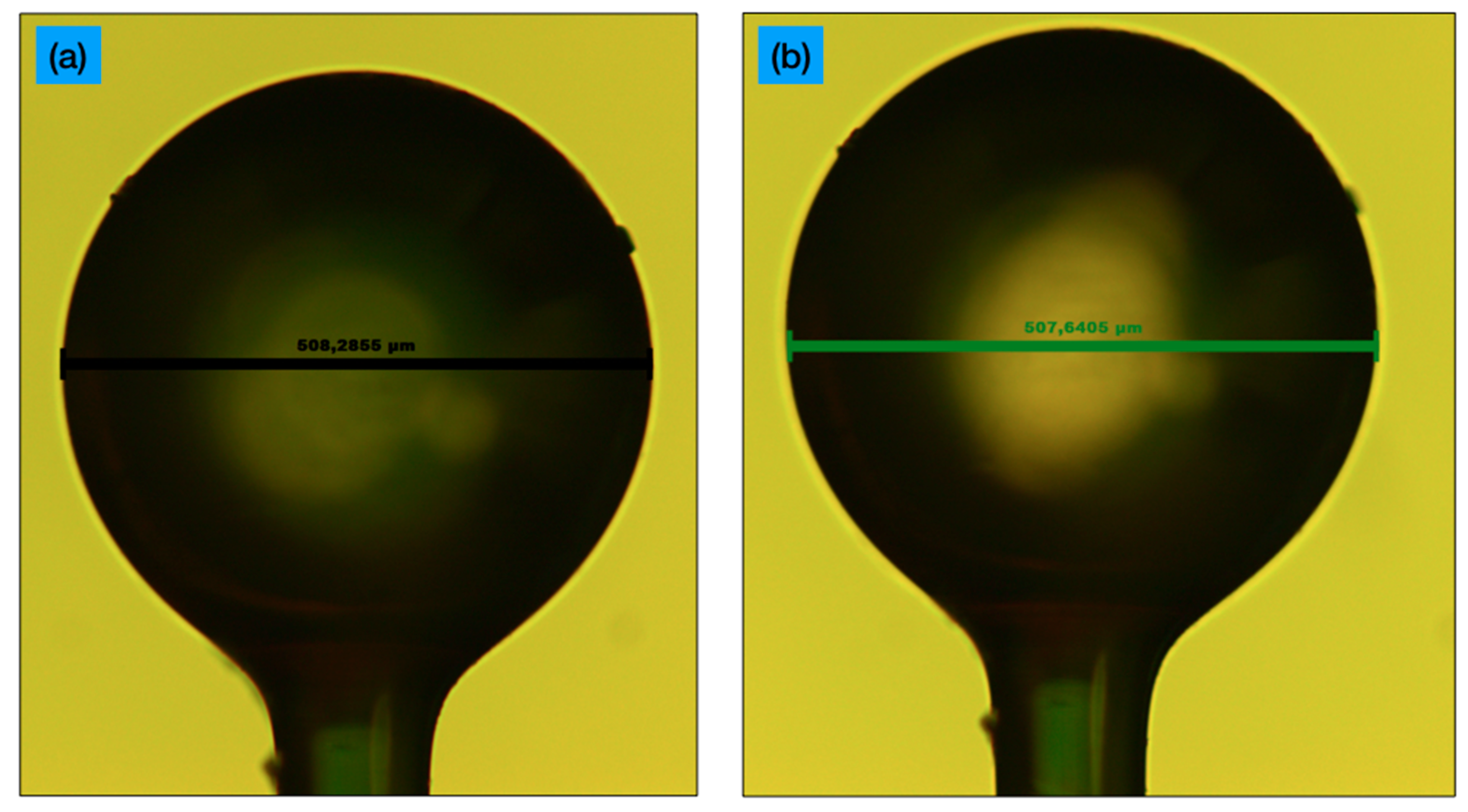 Sensors 21 06721 g001