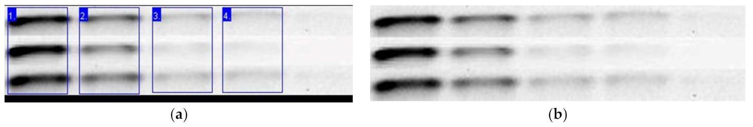 Sensors 21 06727 g005