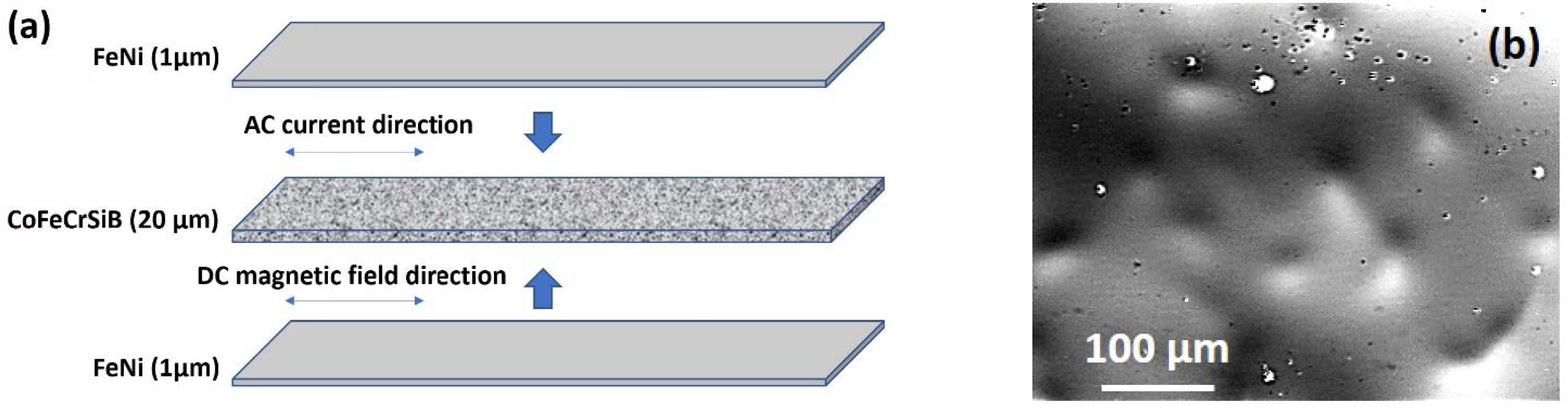 Sensors 21 06728 g001