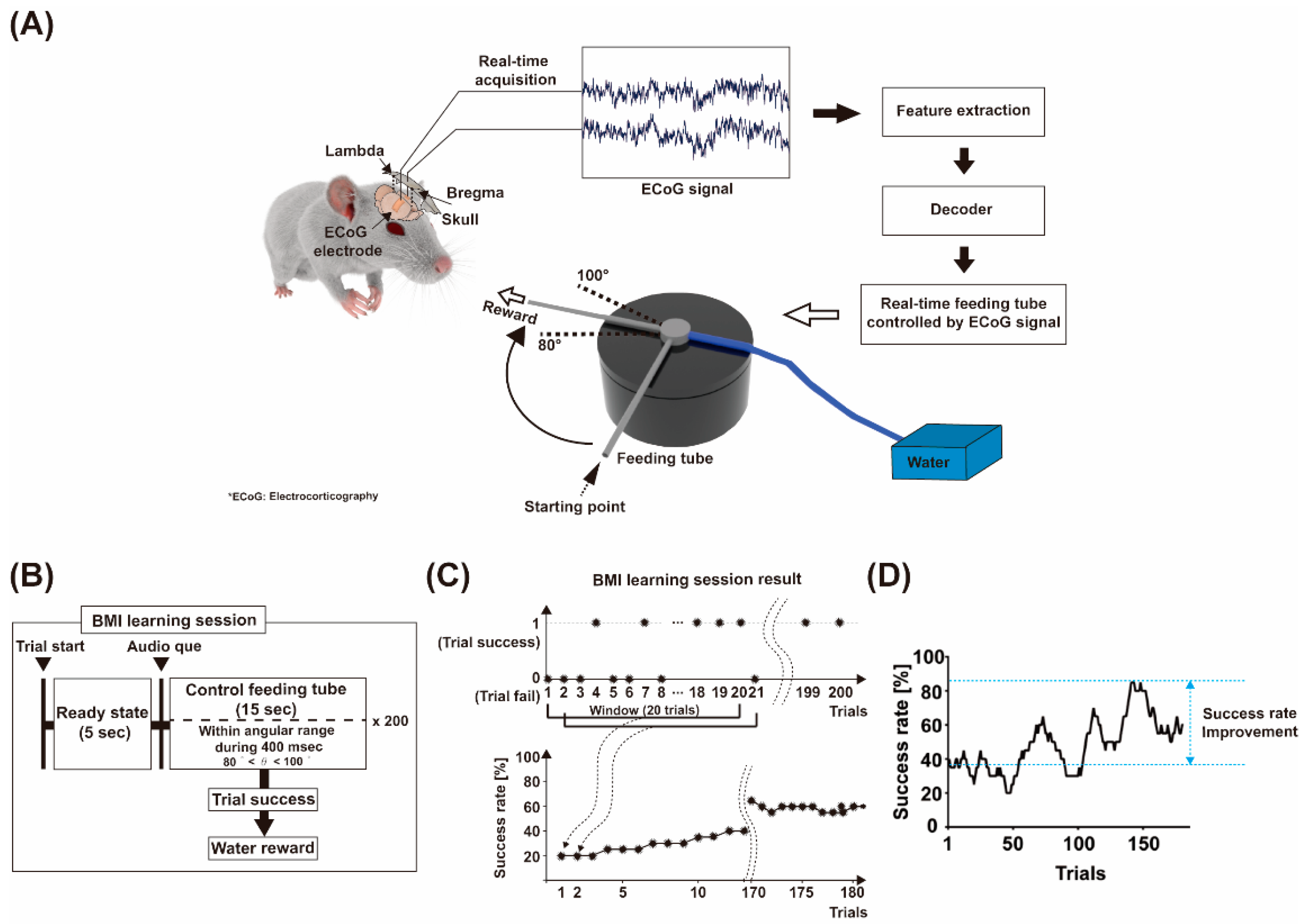 Sensors 21 06729 g001
