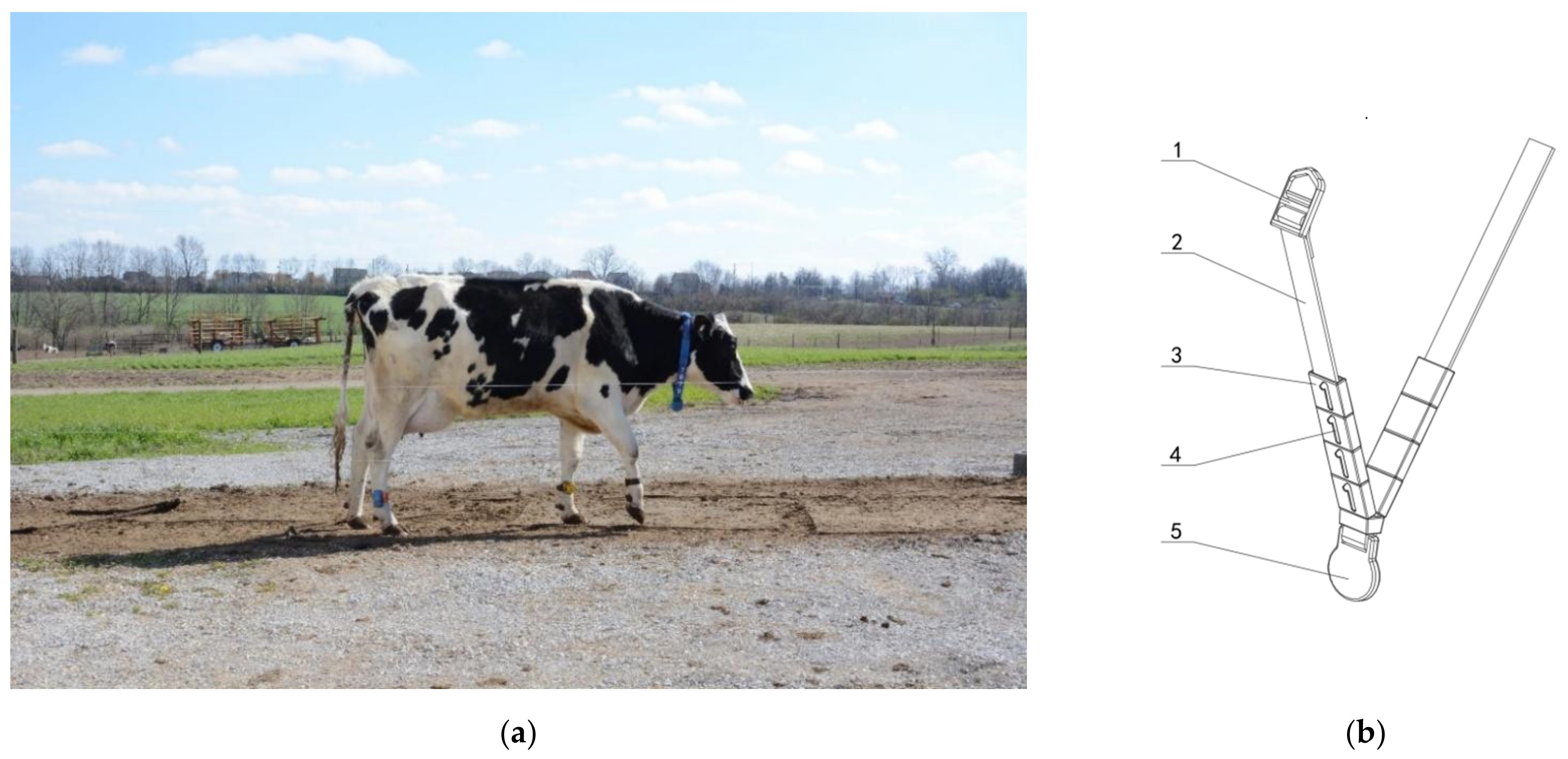 Sensors 21 06734 g001