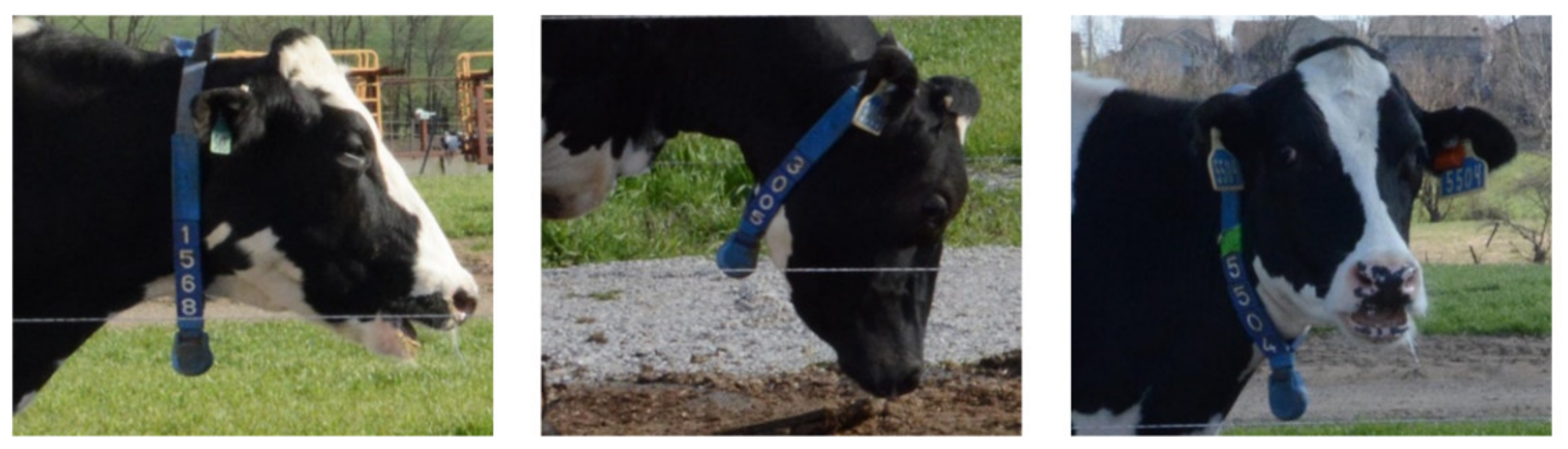 Sensors 21 06734 g010