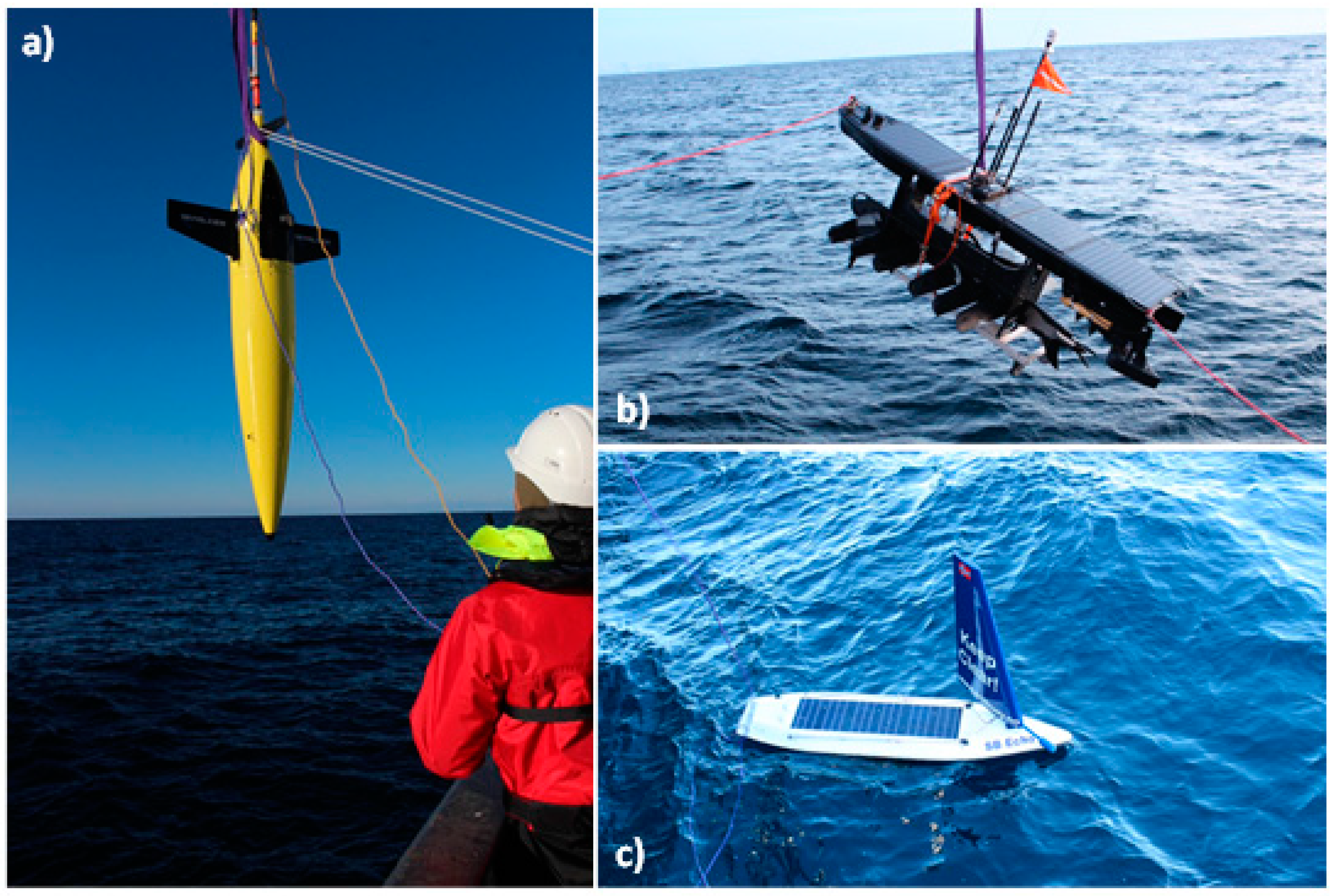 Sensors 21 06752 g001