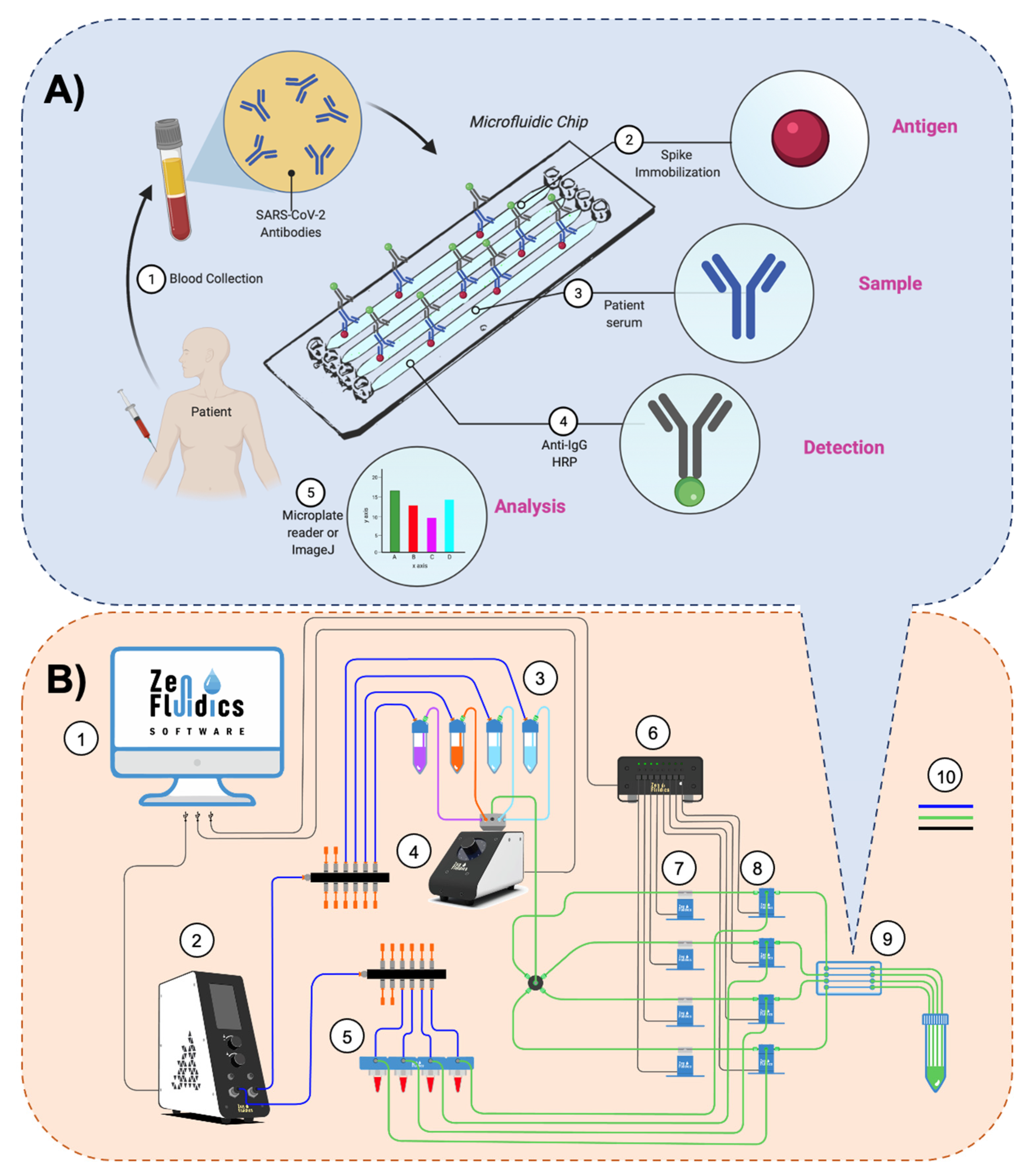 Sensors 21 06785 g001