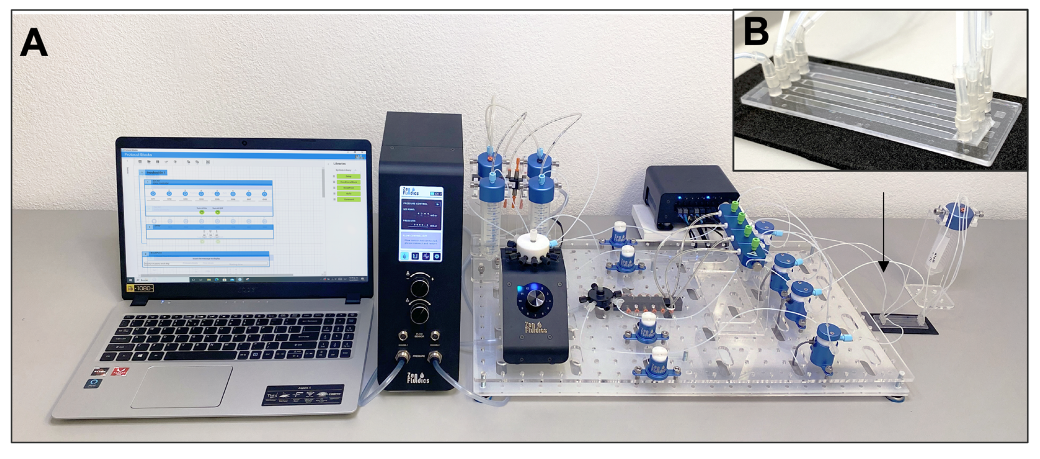 Sensors 21 06785 g002