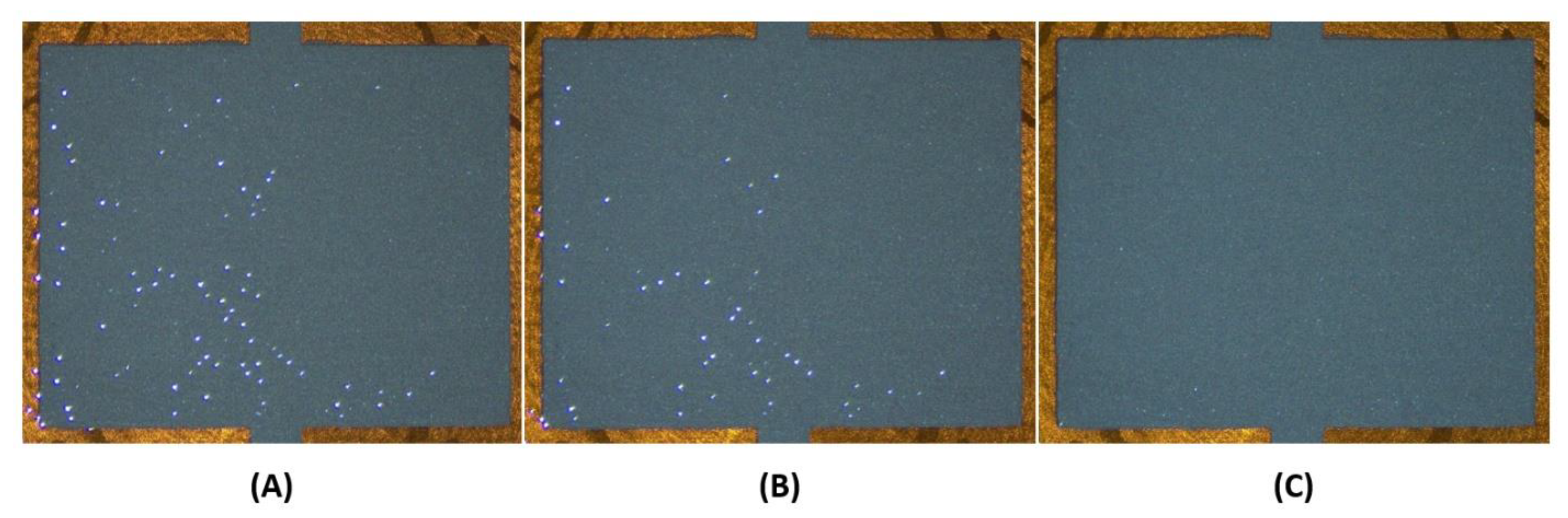 Sensors 21 06802 g005