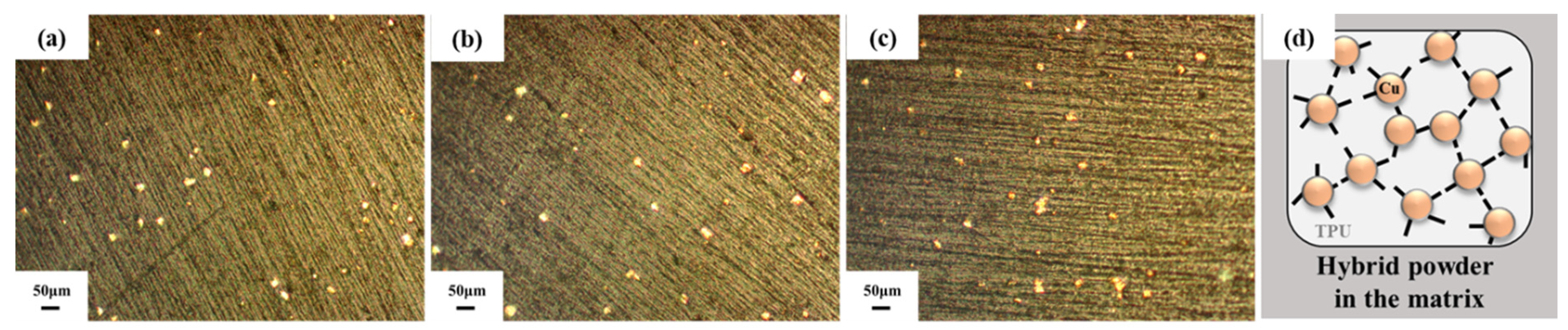 Sensors 21 06813 g003