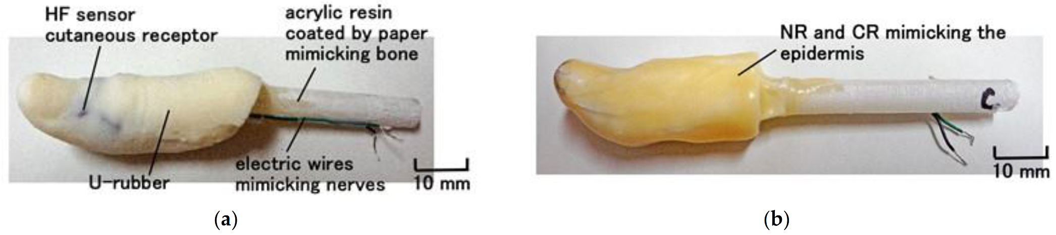 Sensors 21 06834 g013