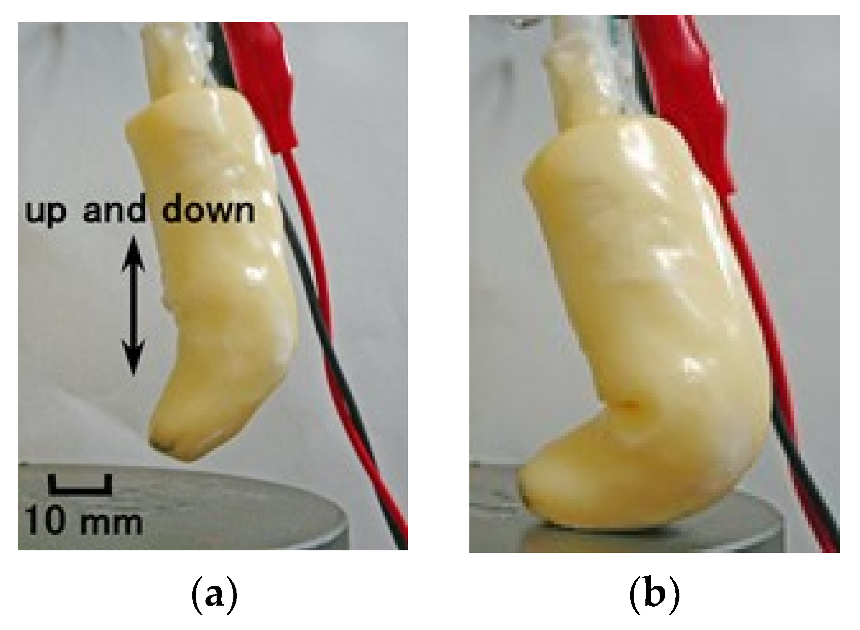 Sensors 21 06834 g015