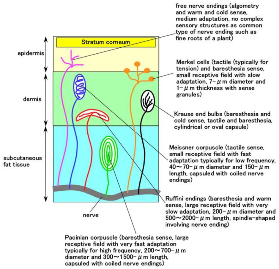 Sensors 21 06834 g0a1