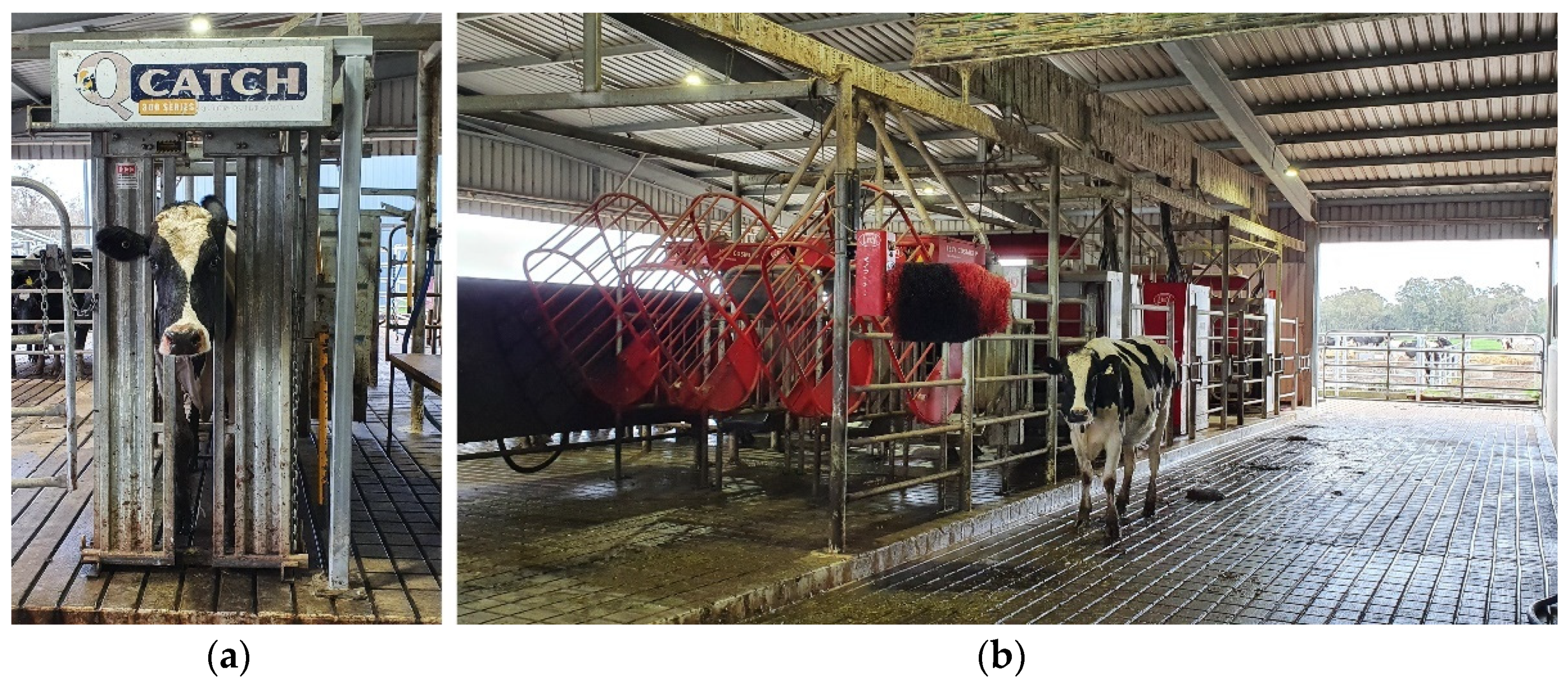 Sensors 21 06844 g001