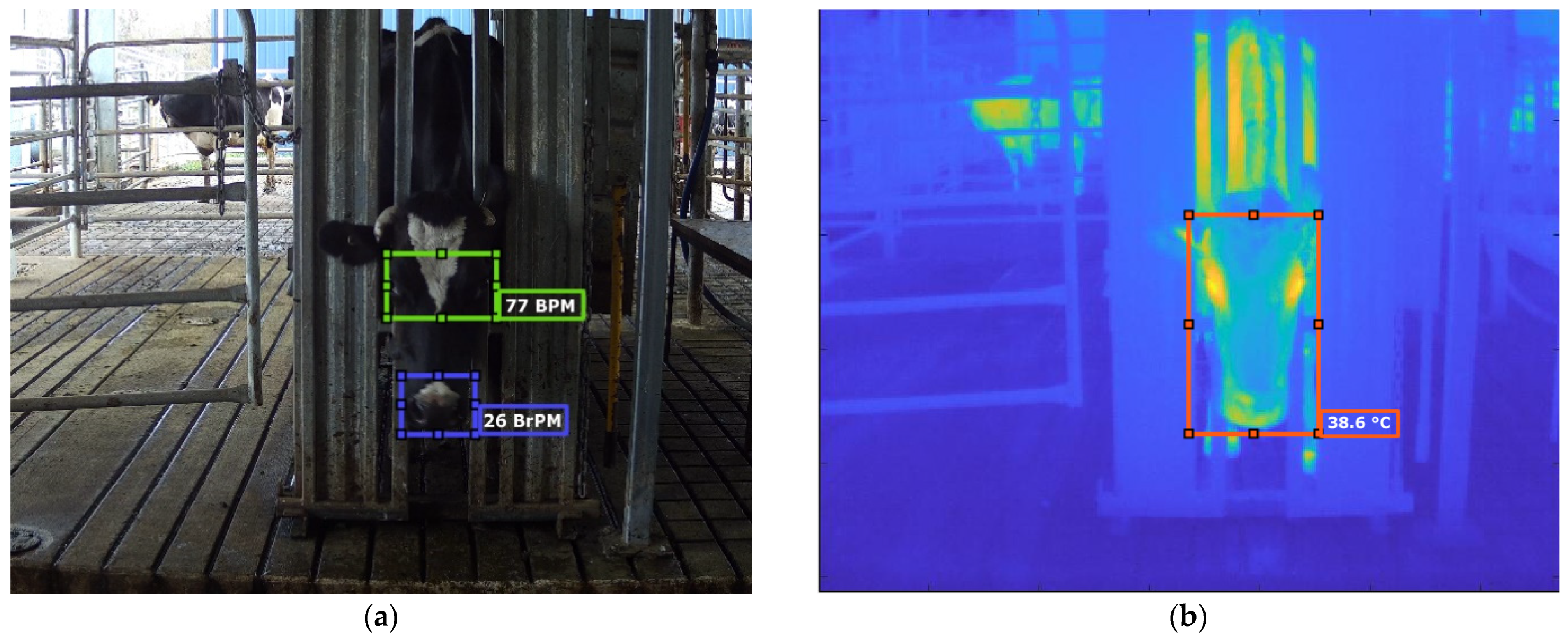 Sensors 21 06844 g003