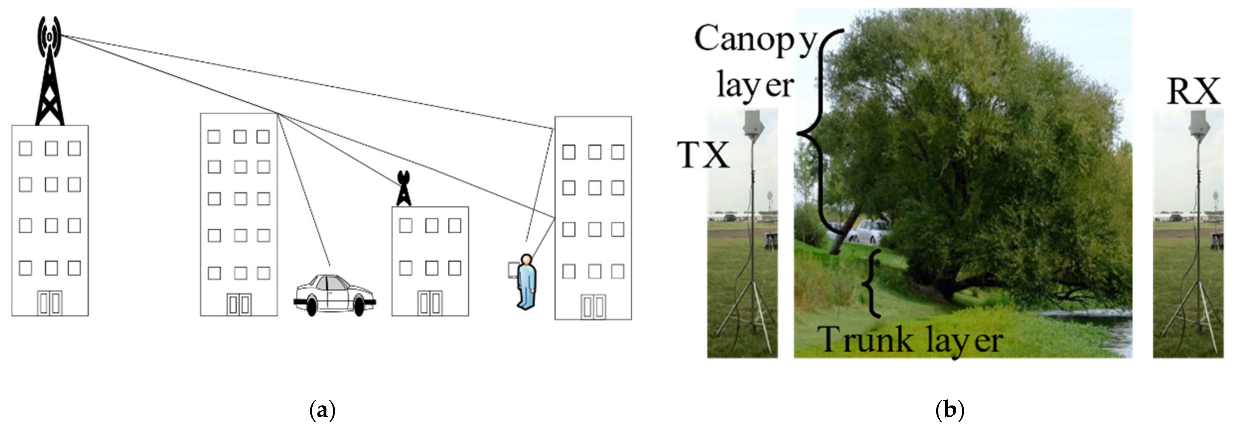 Sensors 21 06872 g001