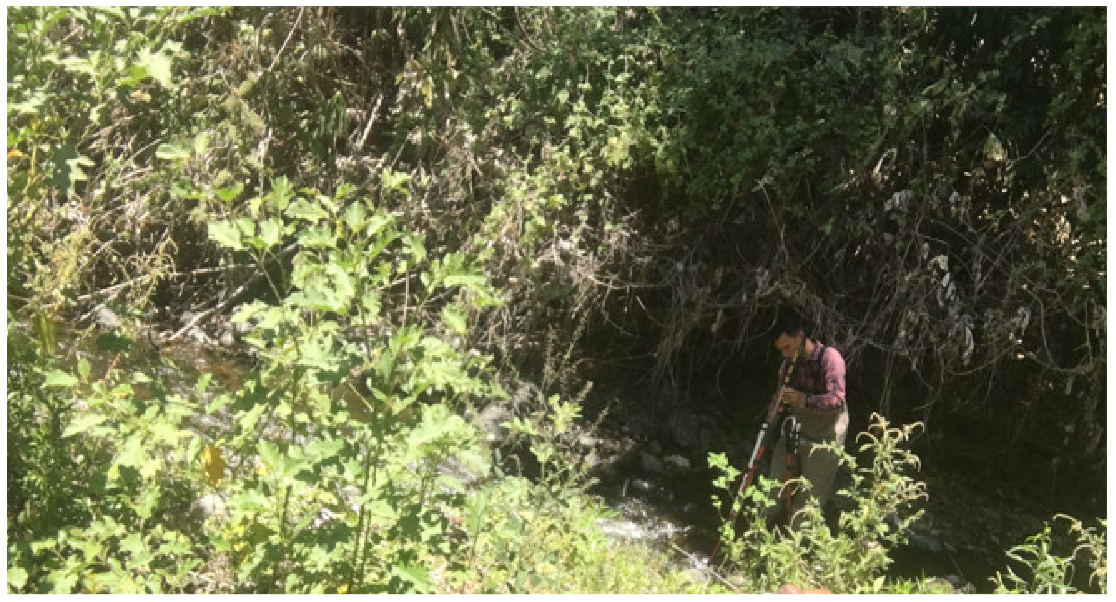 Sensors 21 06872 g002