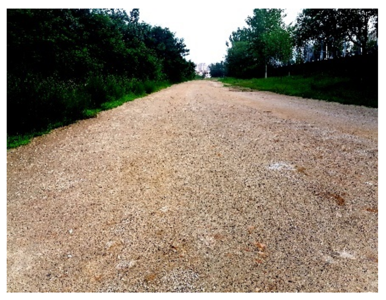 Sensors 21 06877 g012