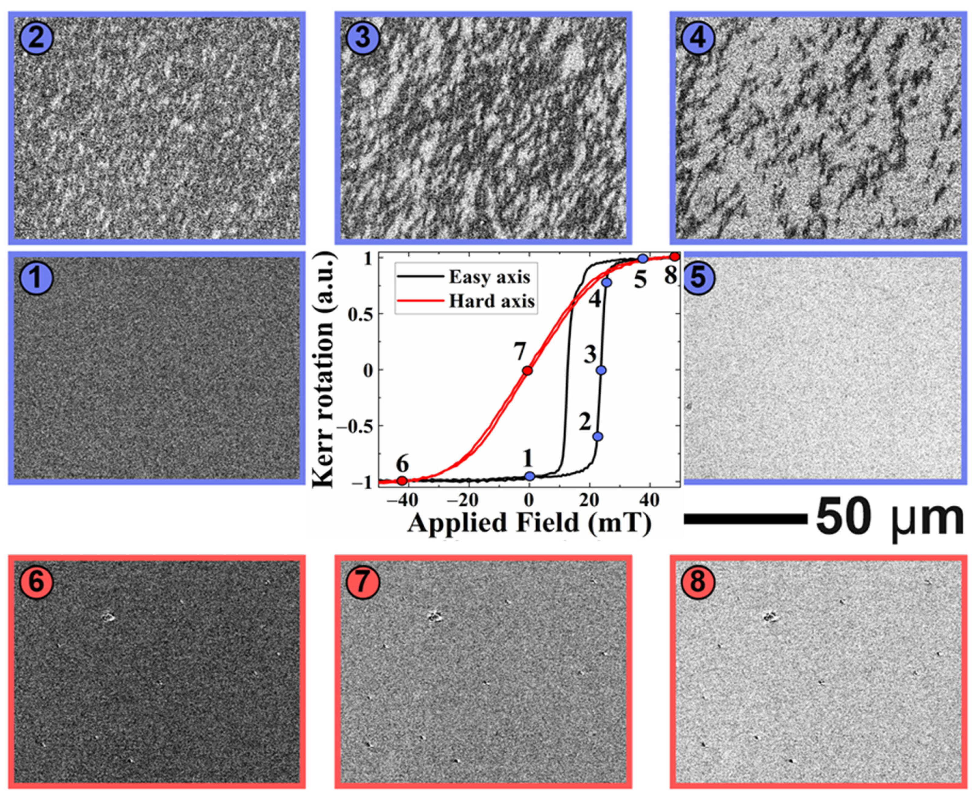 Sensors 21 06891 g008