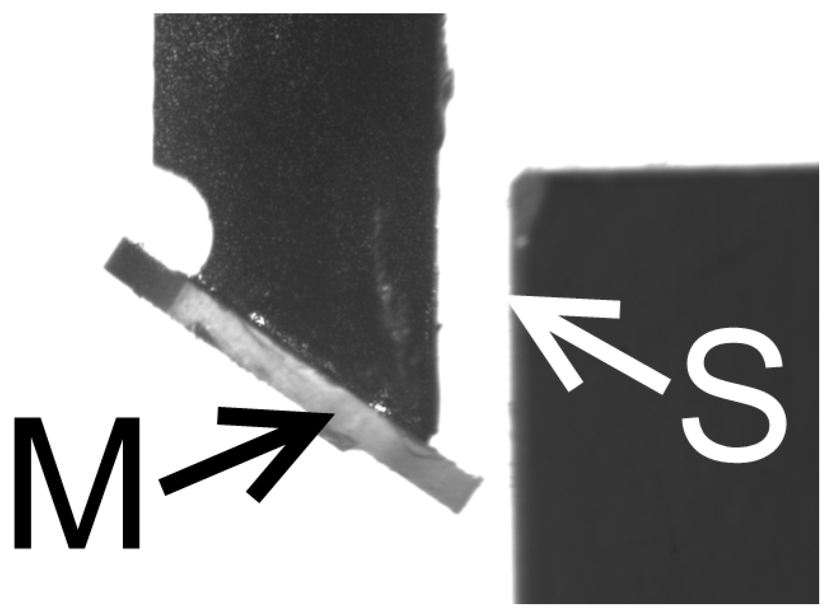 Sensors 21 06911 g006