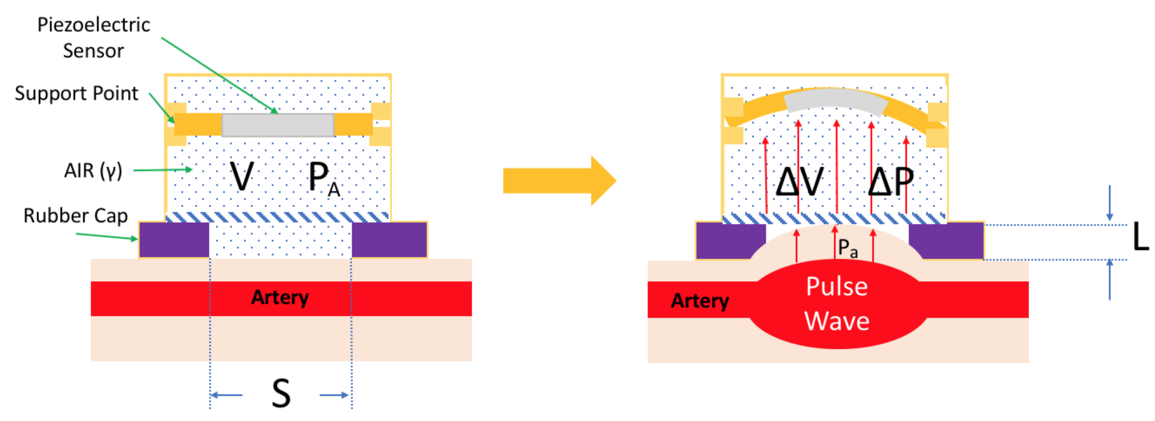 Sensors 21 06915 g002