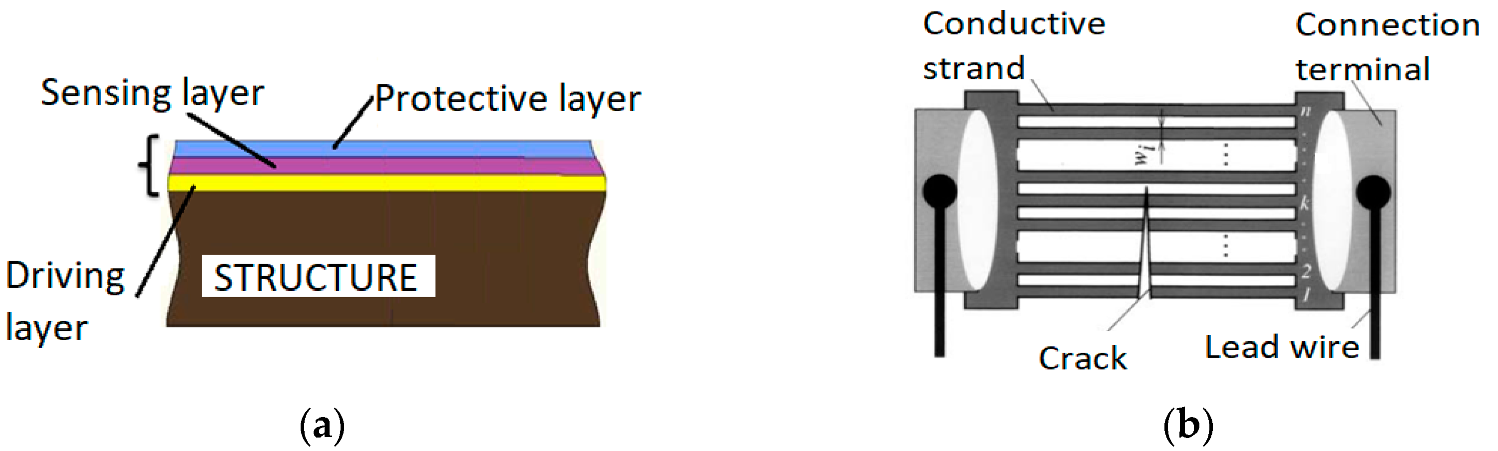 Sensors 21 06916 g002