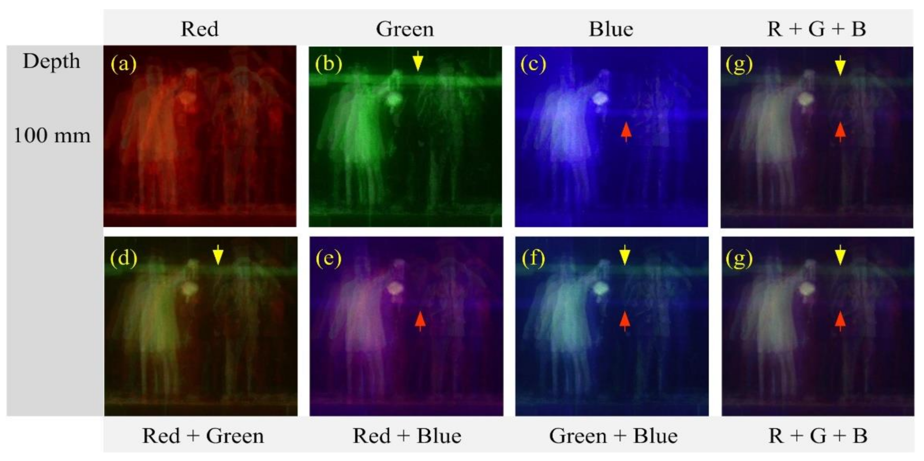 Sensors 21 06928 g013