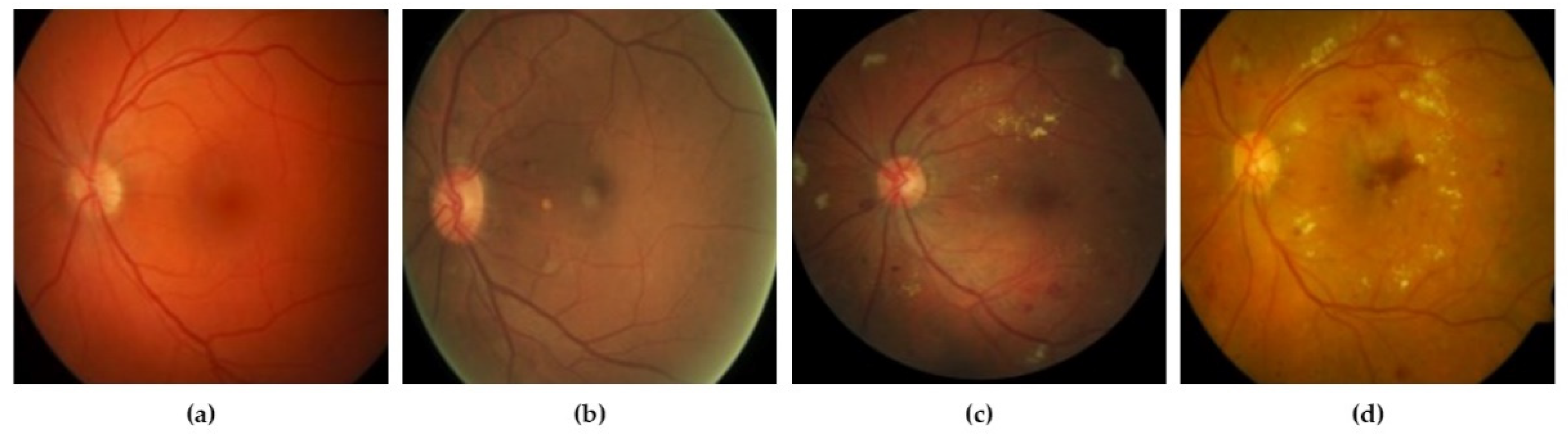 Sensors 21 06933 g002