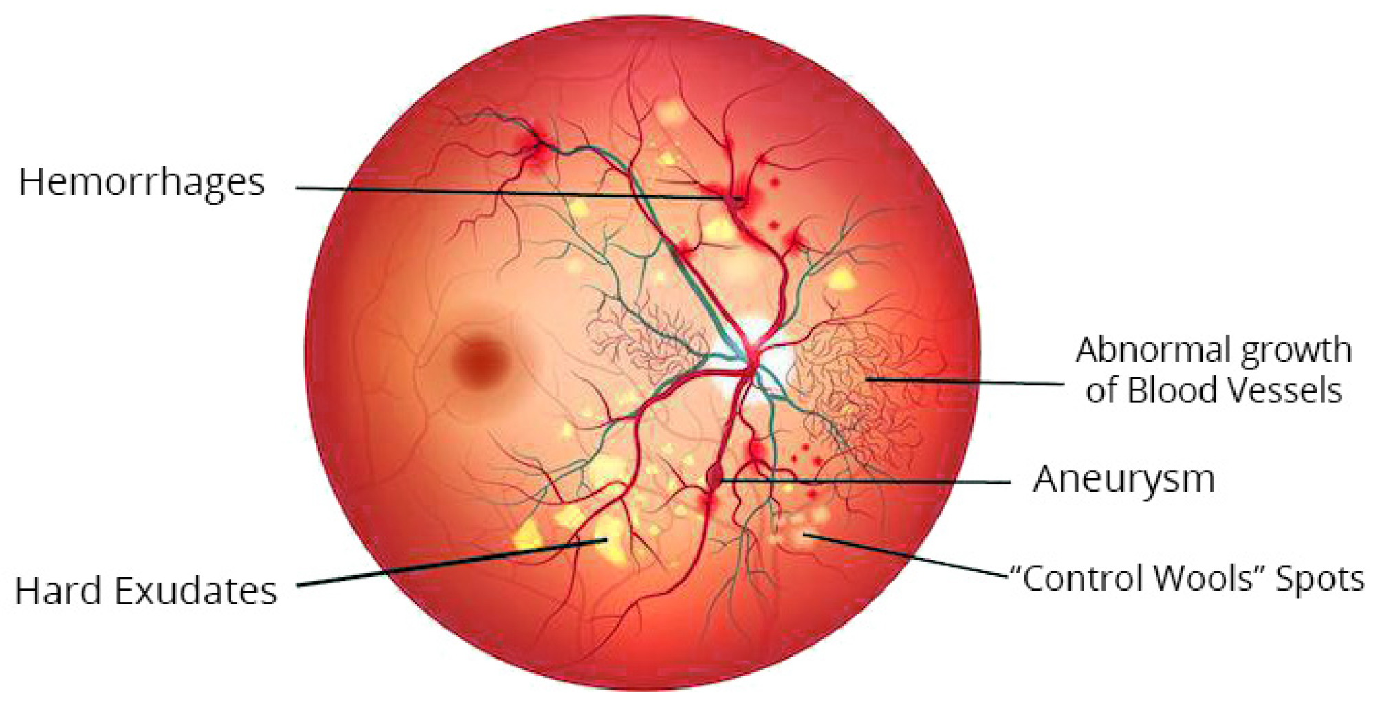 Sensors 21 06933 g003