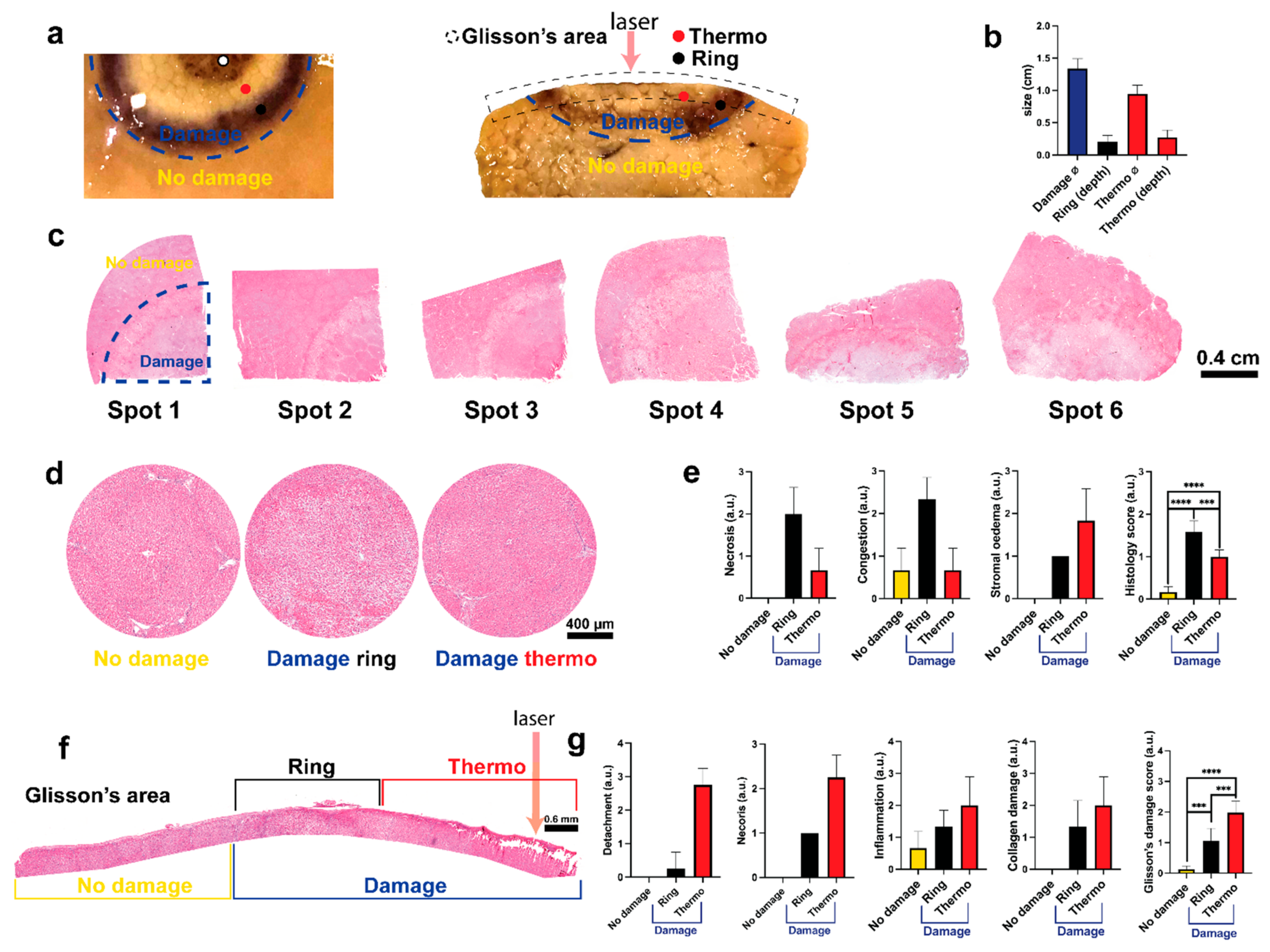 Sensors 21 06934 g005
