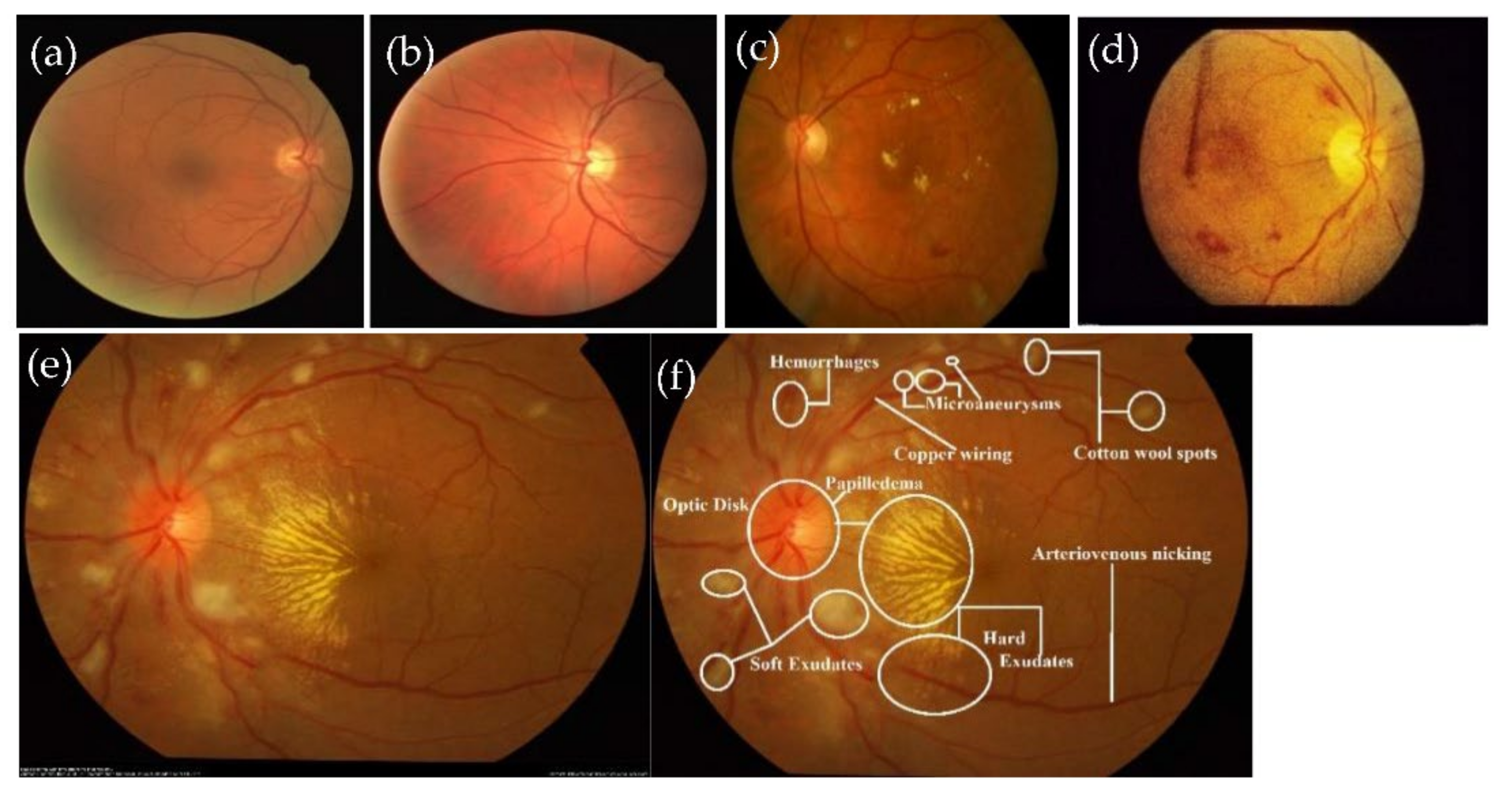 Sensors 21 06936 g001