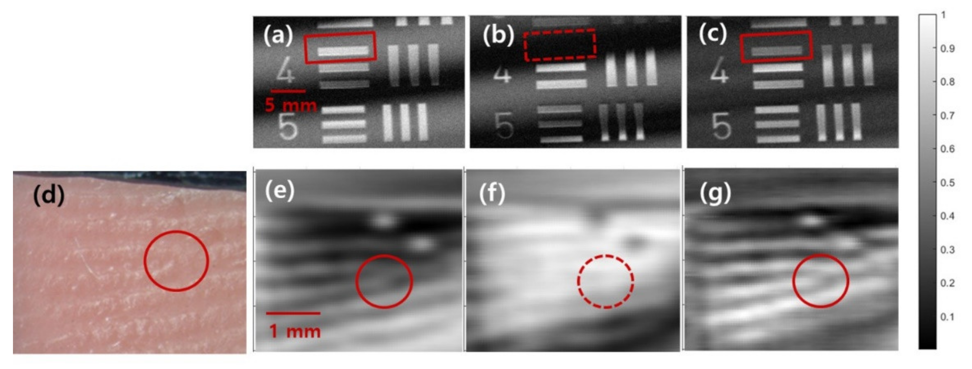 Sensors 21 06990 g007